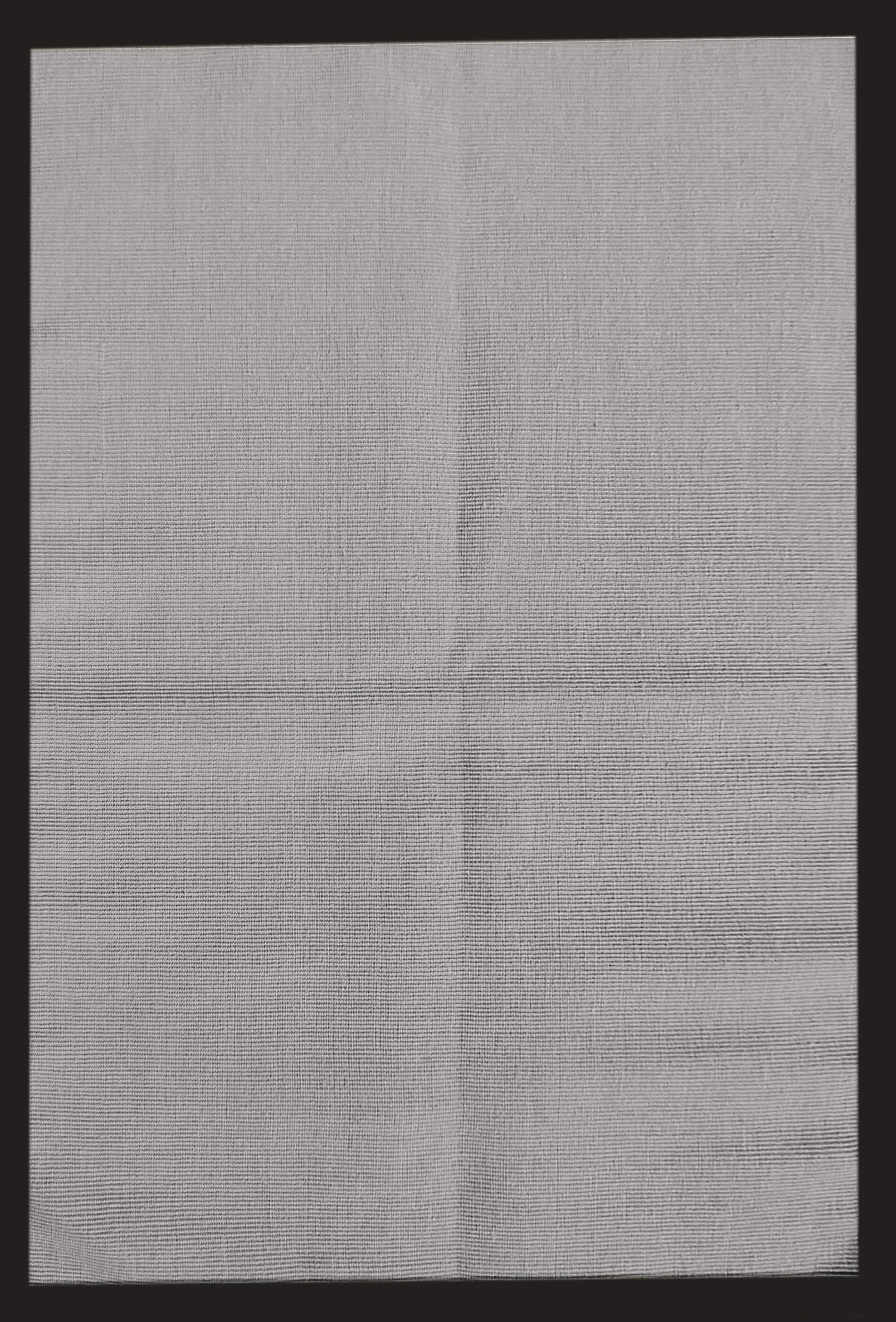 Alfombra Sisal Amazonas con borde 0013