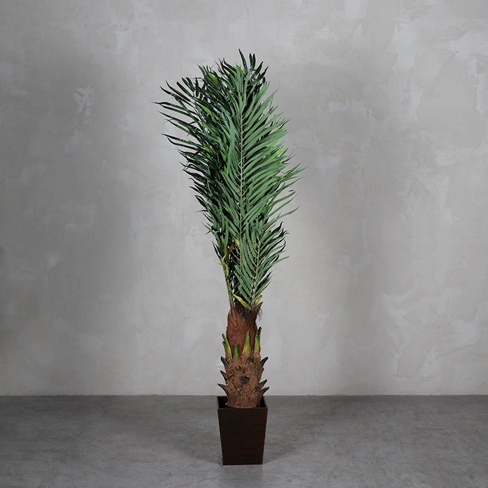 La Palmera