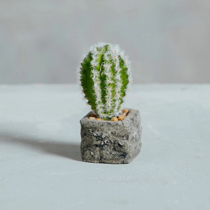 Planta Artificial Base Cerámica 6