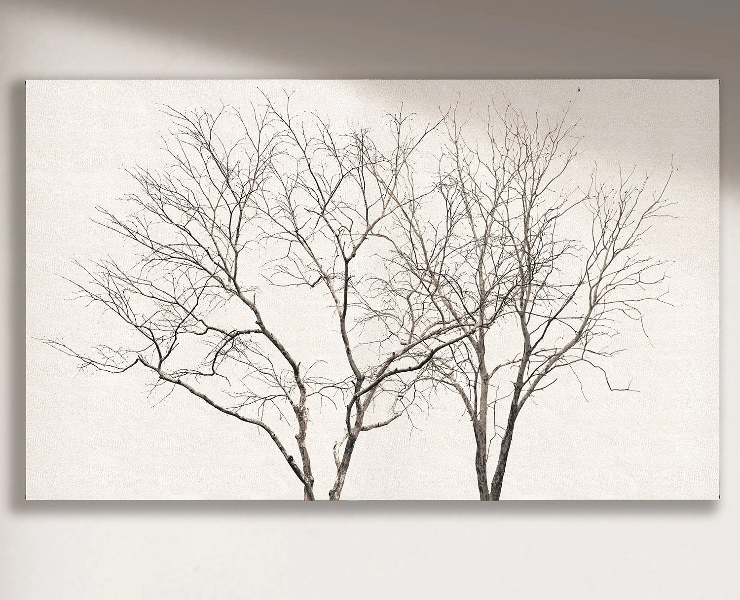 Cuadro Acacio horizontal - 220x130 cm / Lona tensada con bastidor + marco de madera negro