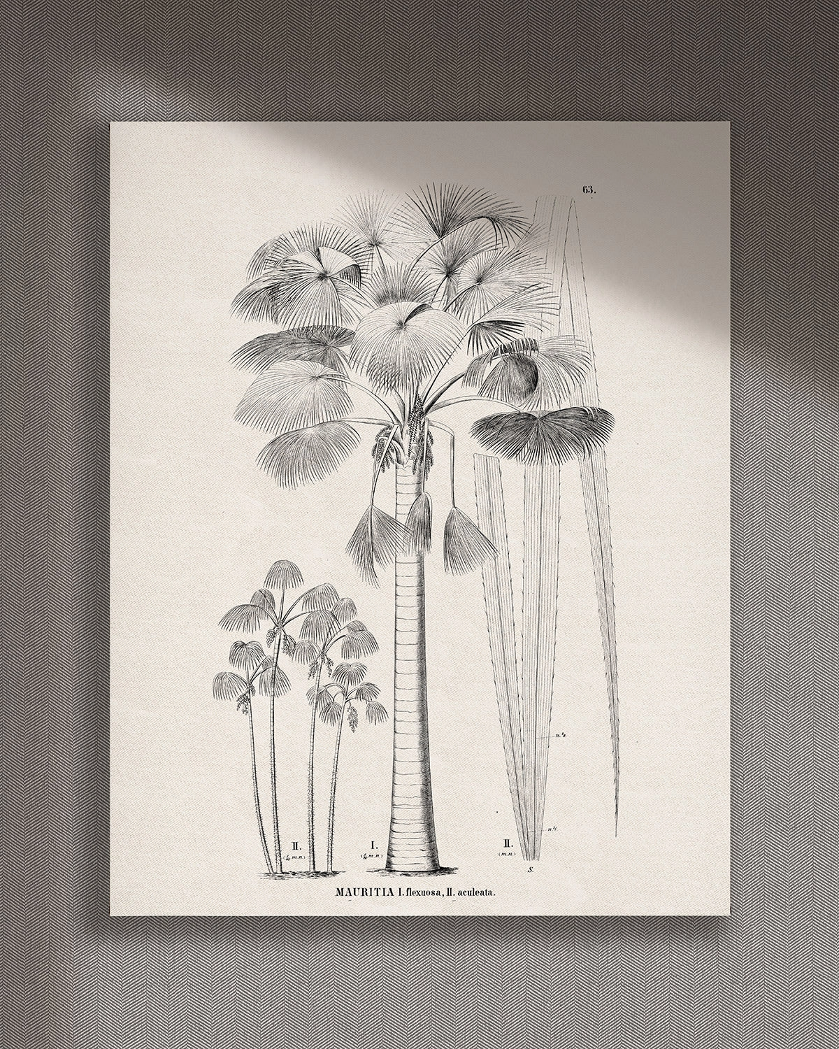 Cuadro Mauritia vertical - 120x150 cm / Lona tensada con bastidor