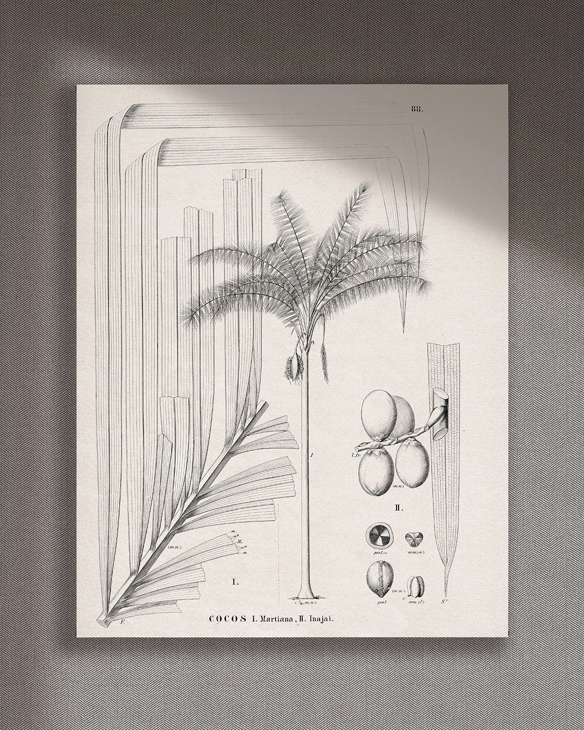 Cuadro Cocos vertical - 140x175 cm / Lona tensada con bastidor