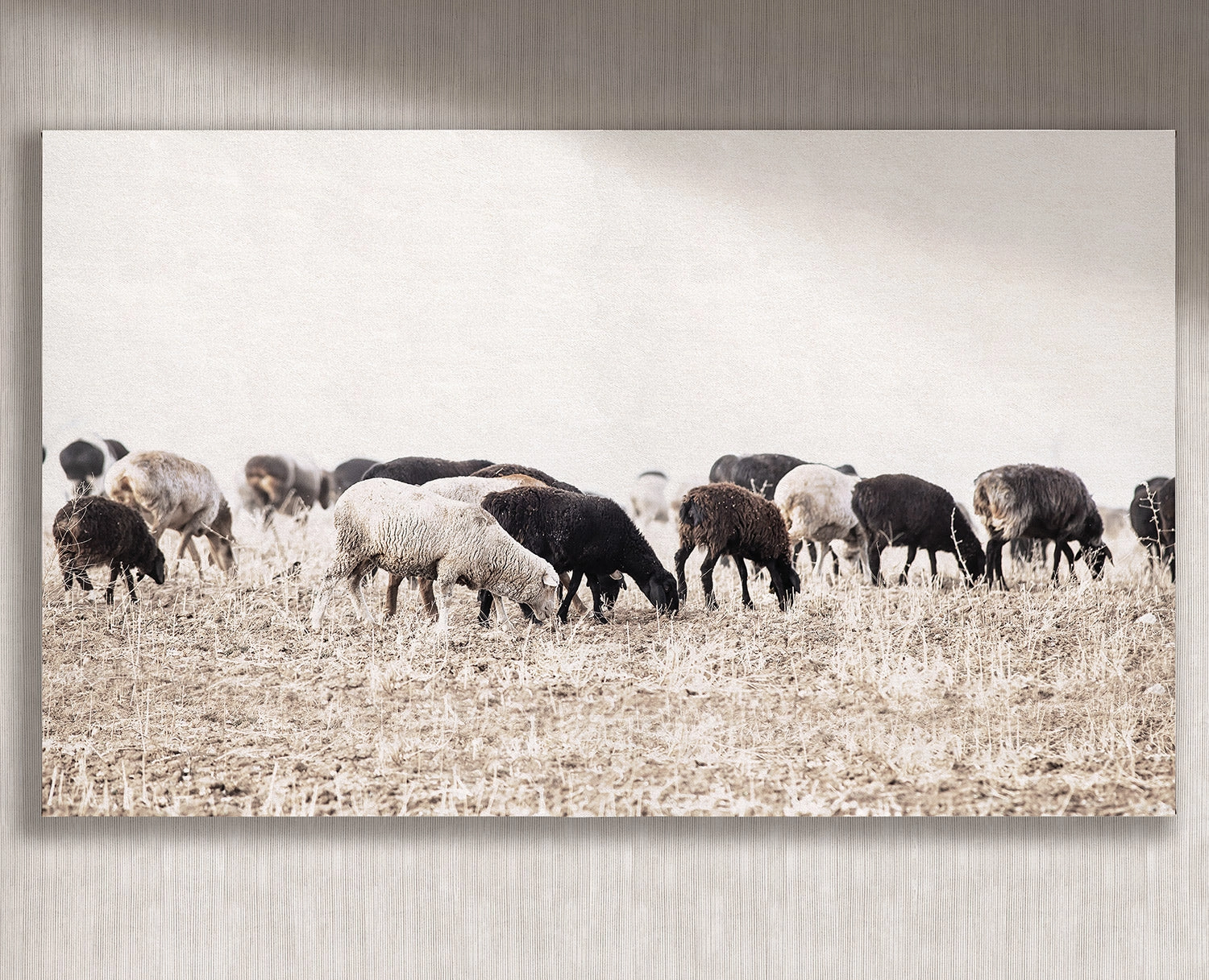 Cuadro Ovejas horizontal - 220x130 cm / Lona tensada con bastidor