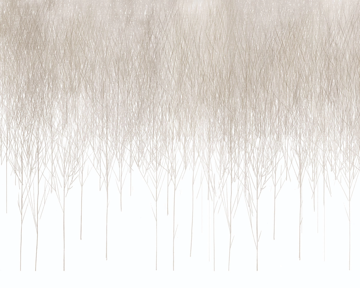 Papel Mural Profundo Beige