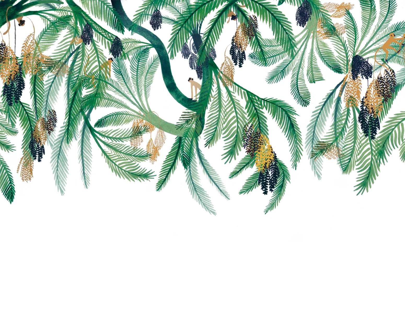 Vegetación