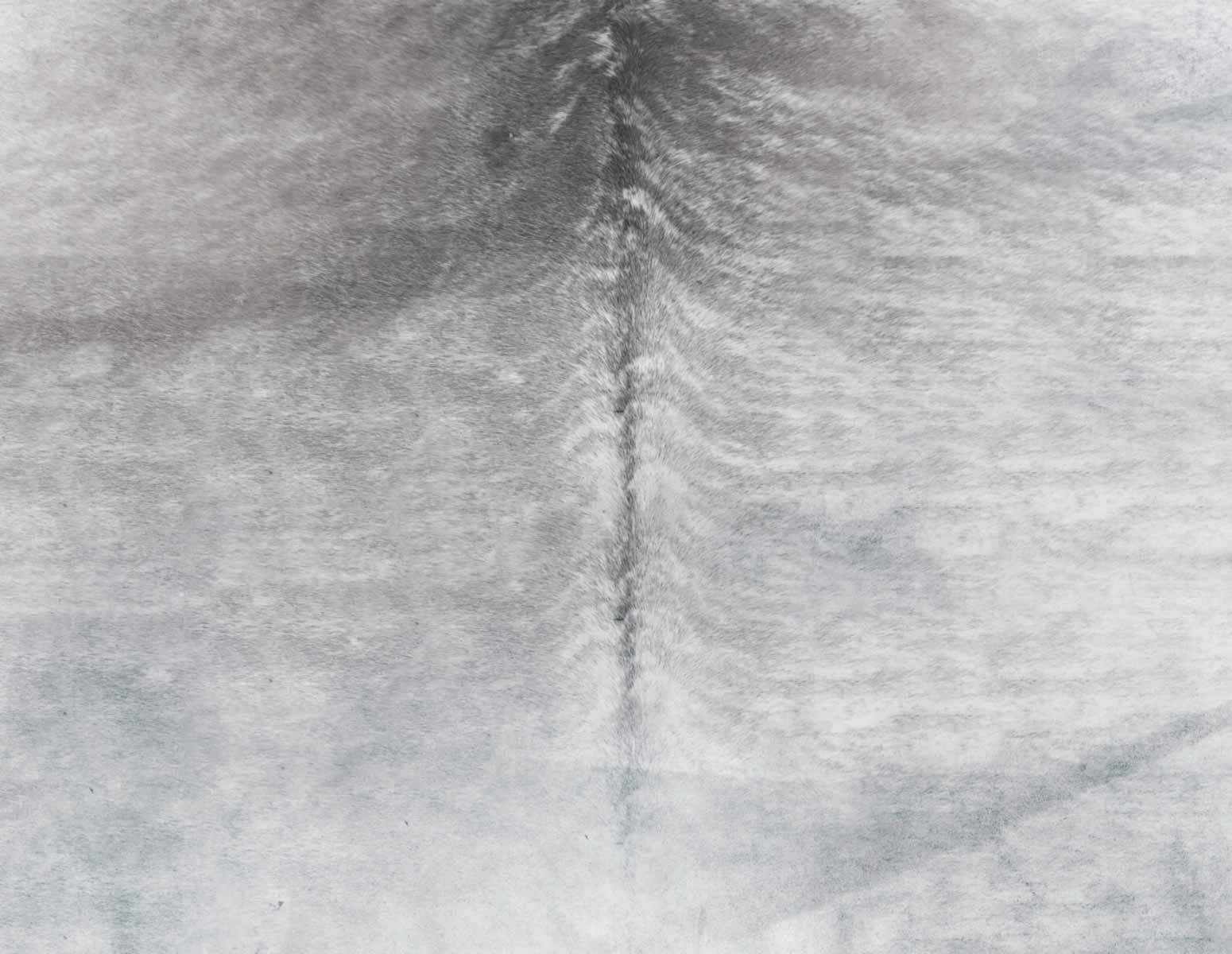 Piel