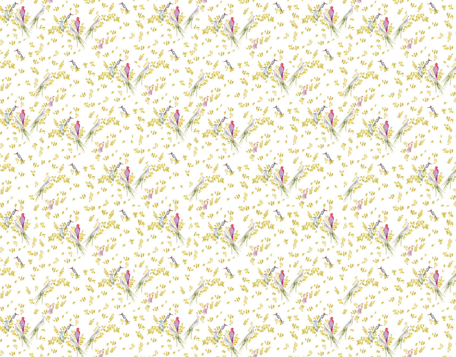 Aves