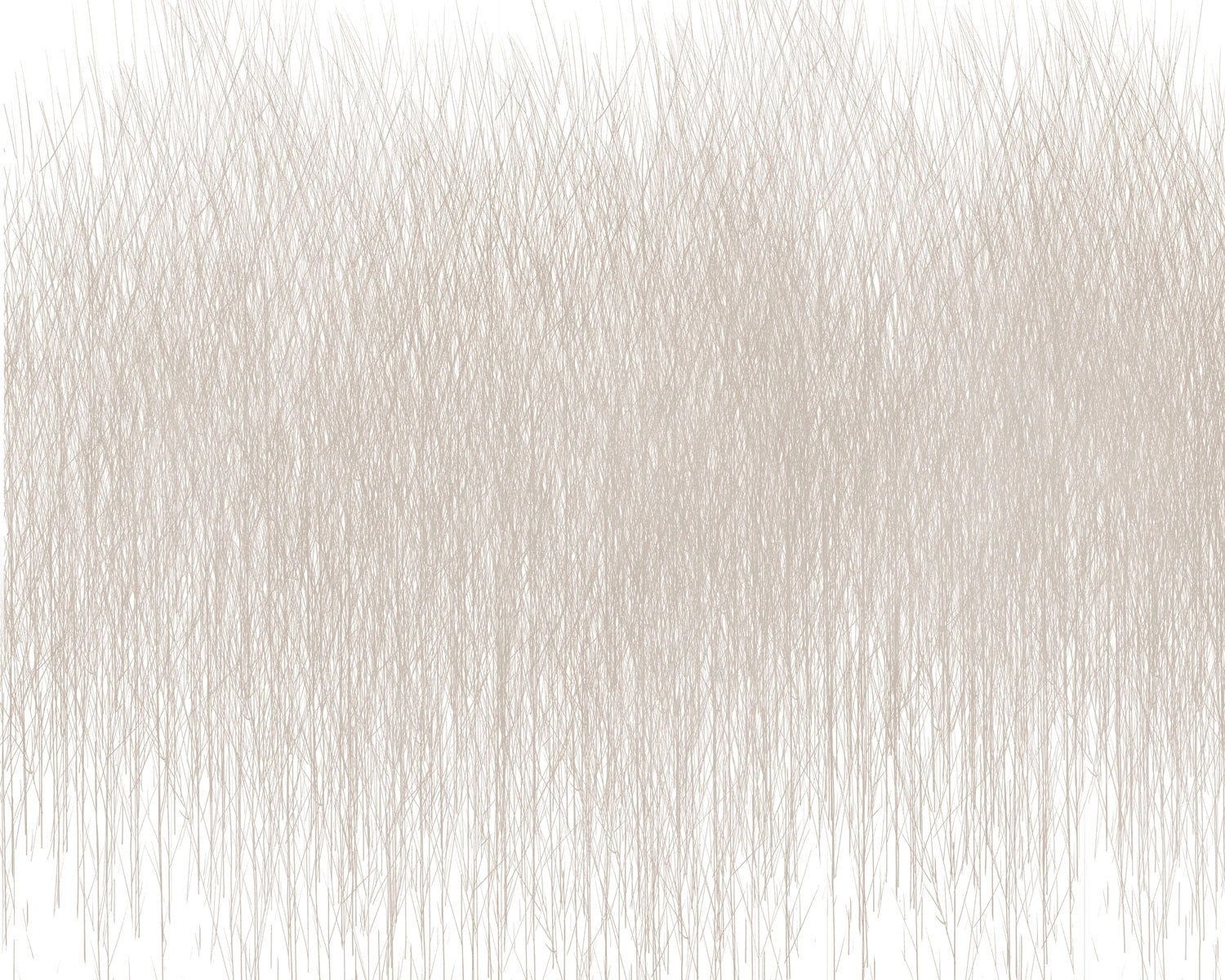 Papel mural Pastos Beige