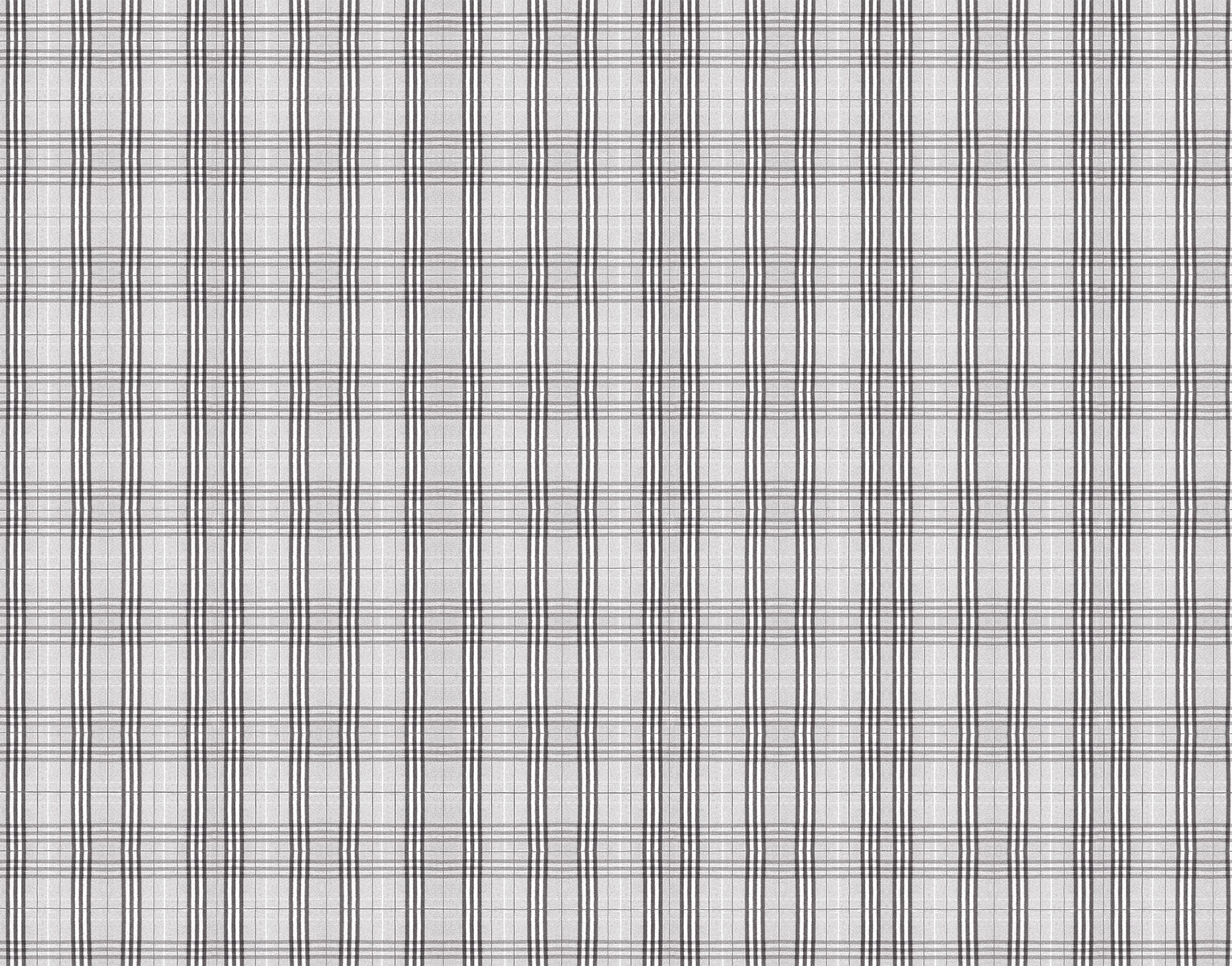 Escocés Gris