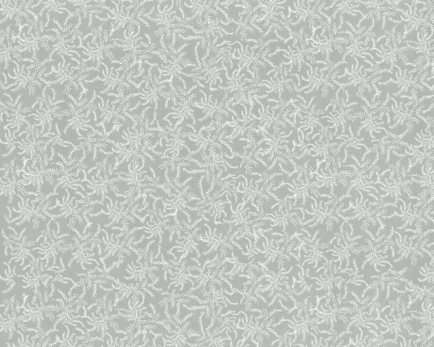 Papel mural Laurel Sage (Tere Mujica)