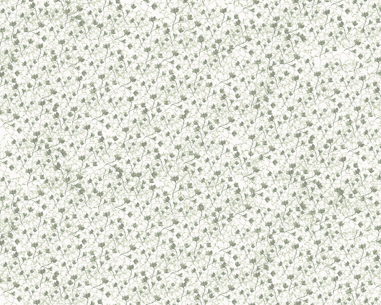 Papel mural Amapolas Verdes (Tere Mujica)