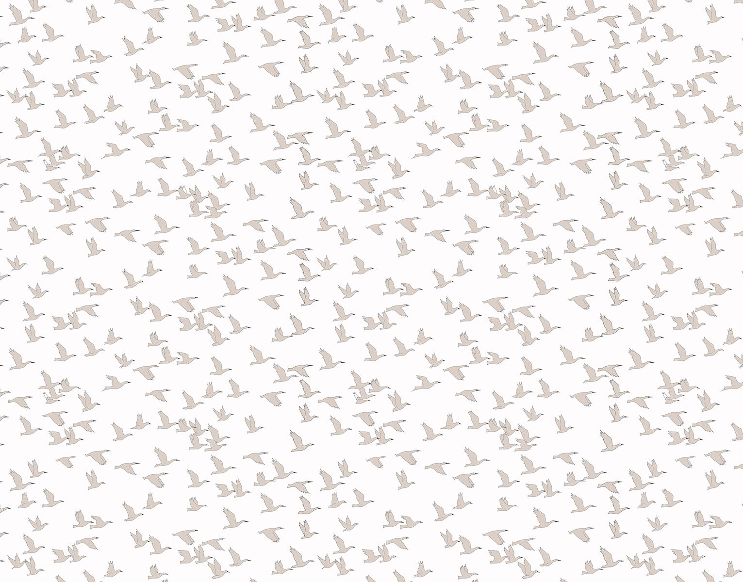Papel mural Gaviota Beige