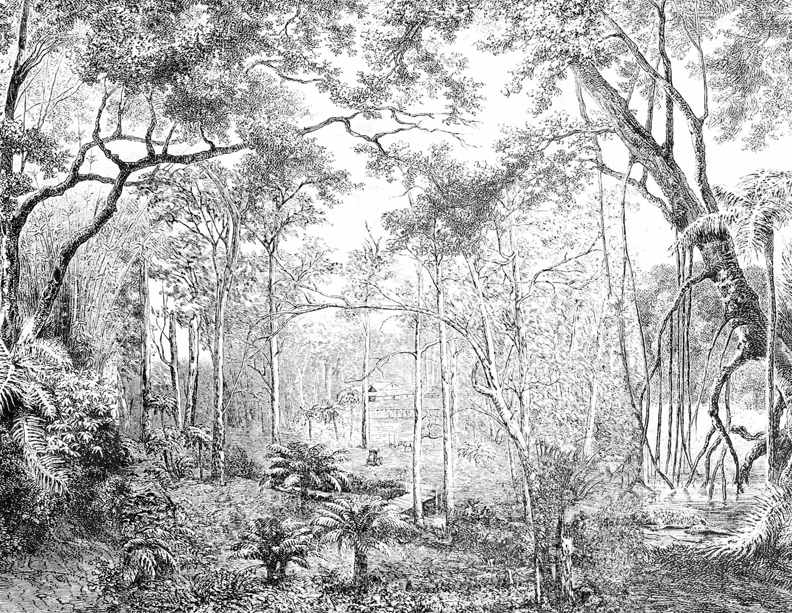 Paisaje - Papel Mural