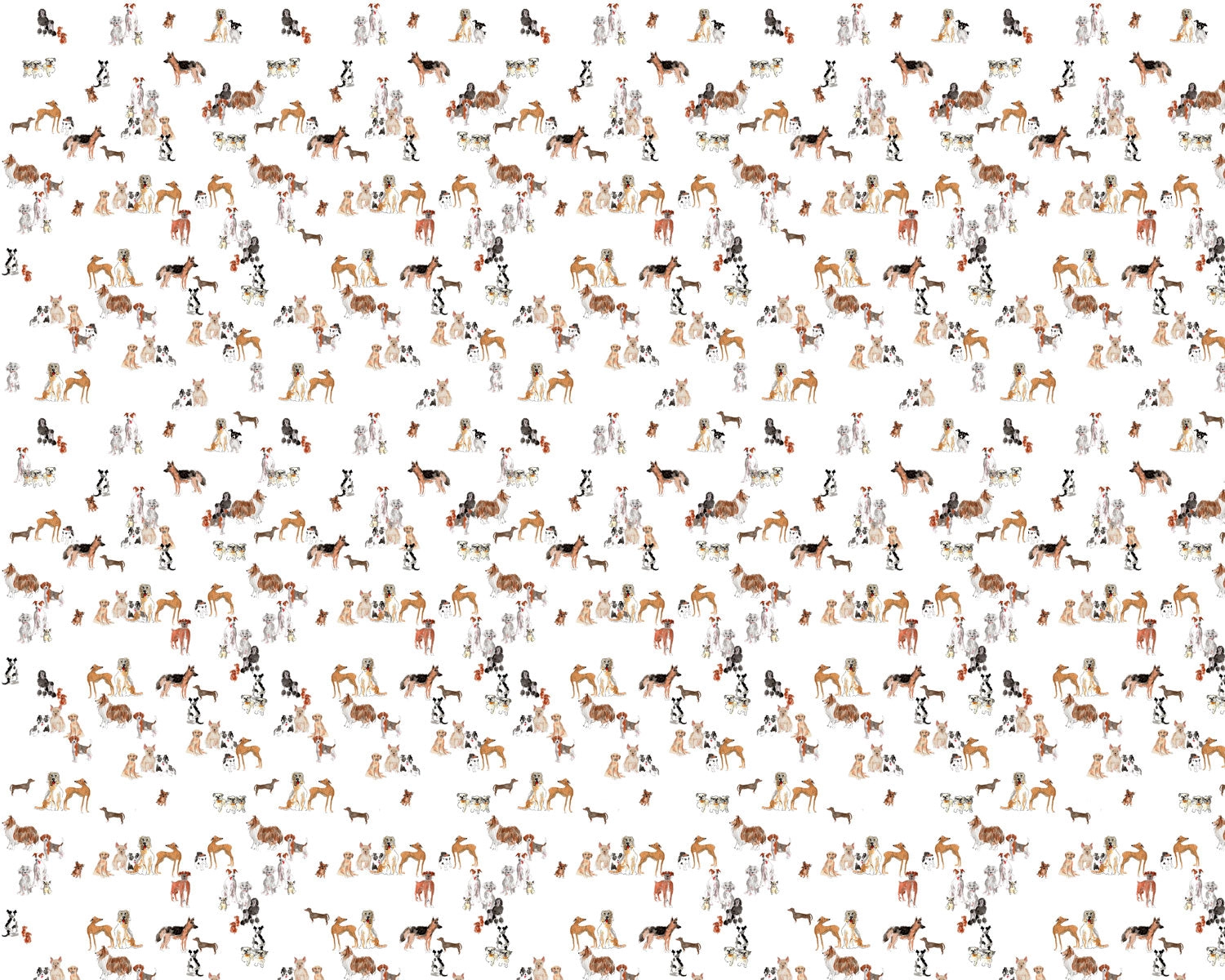 Papel mural Perritos (Manuel Santelices)