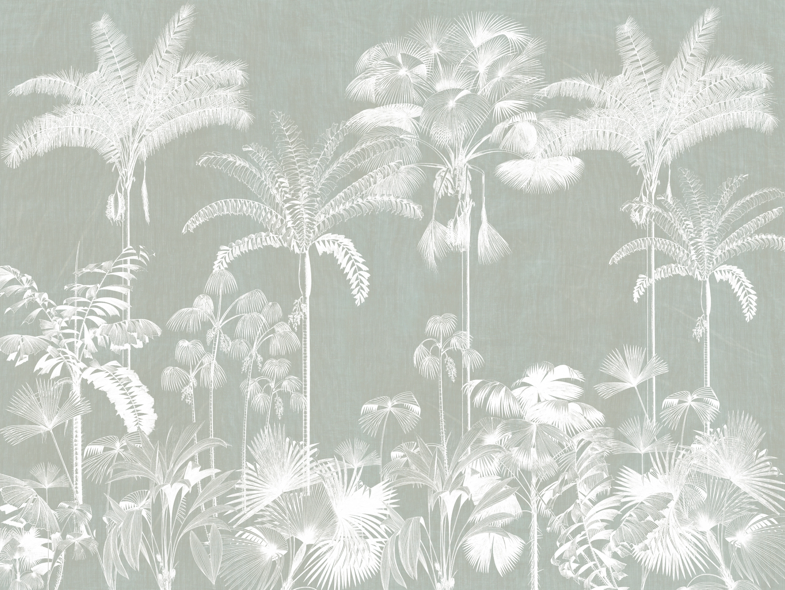 Papel mural Guinea Sage