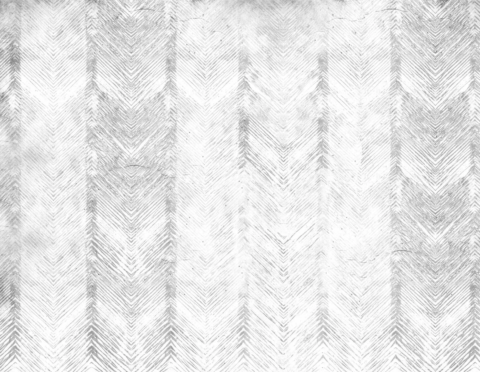 Pluma Gris Clara