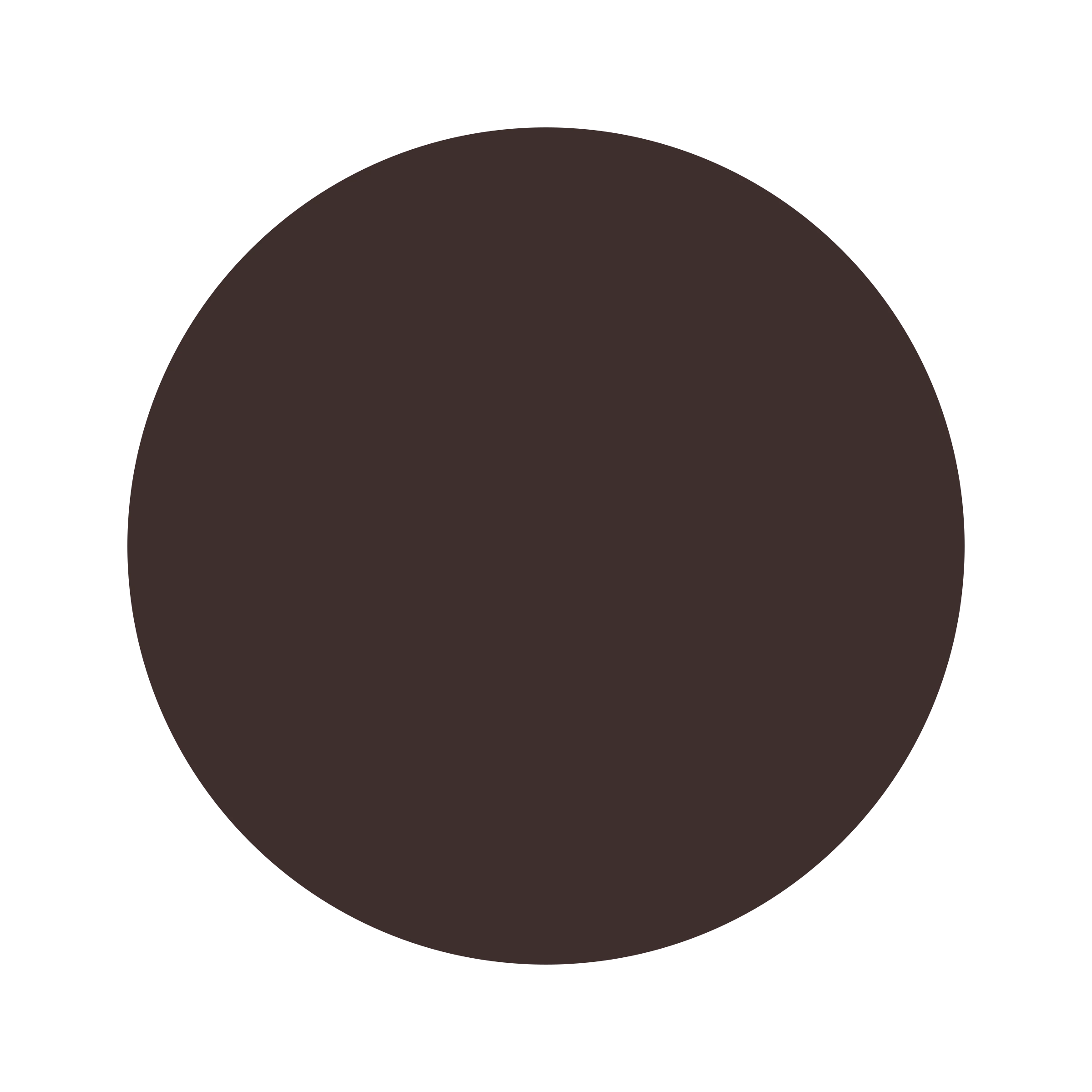 #3E2F2D