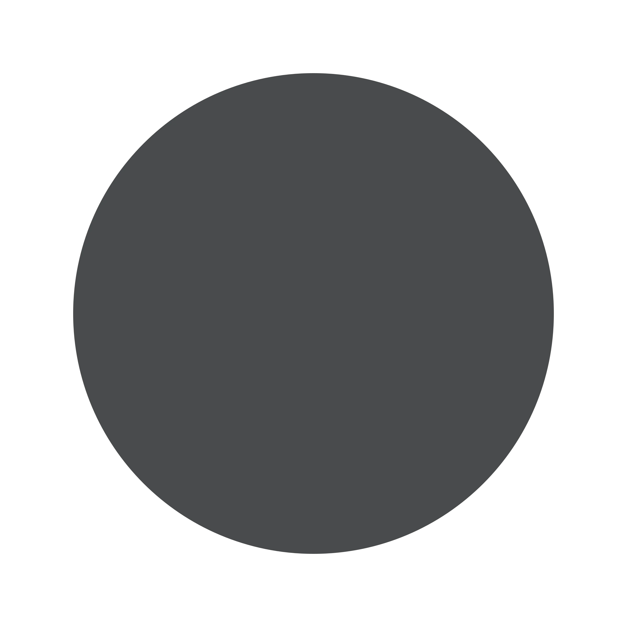 #4A4B4C