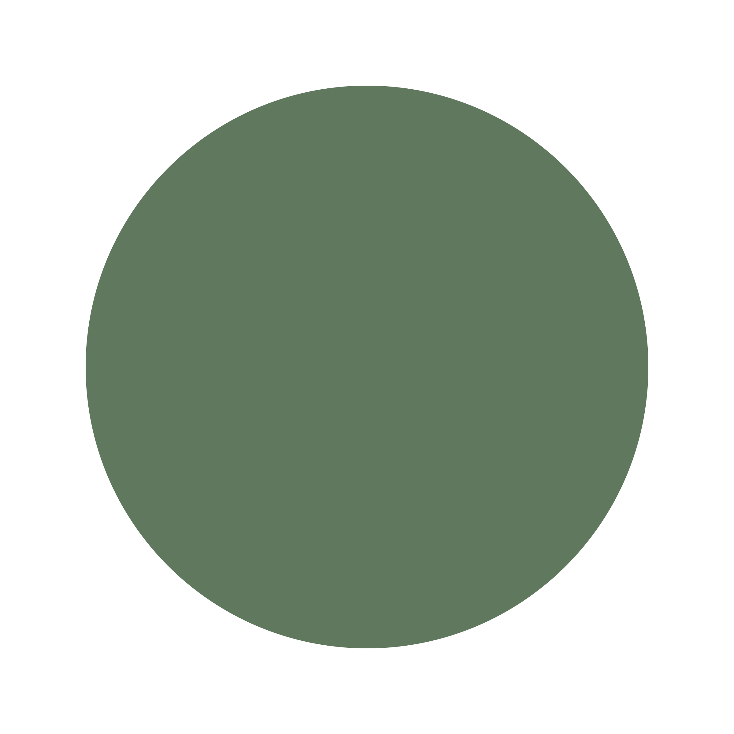 Ceresita Racing Green