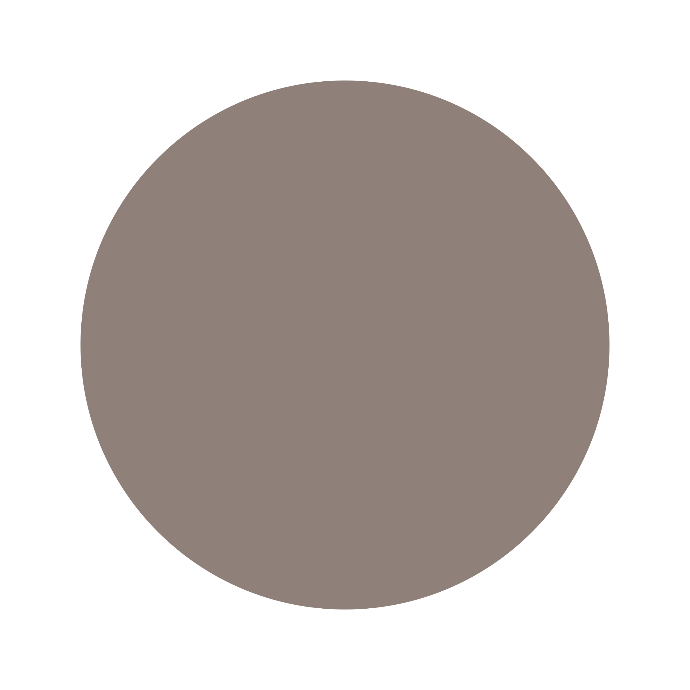 #8F807A