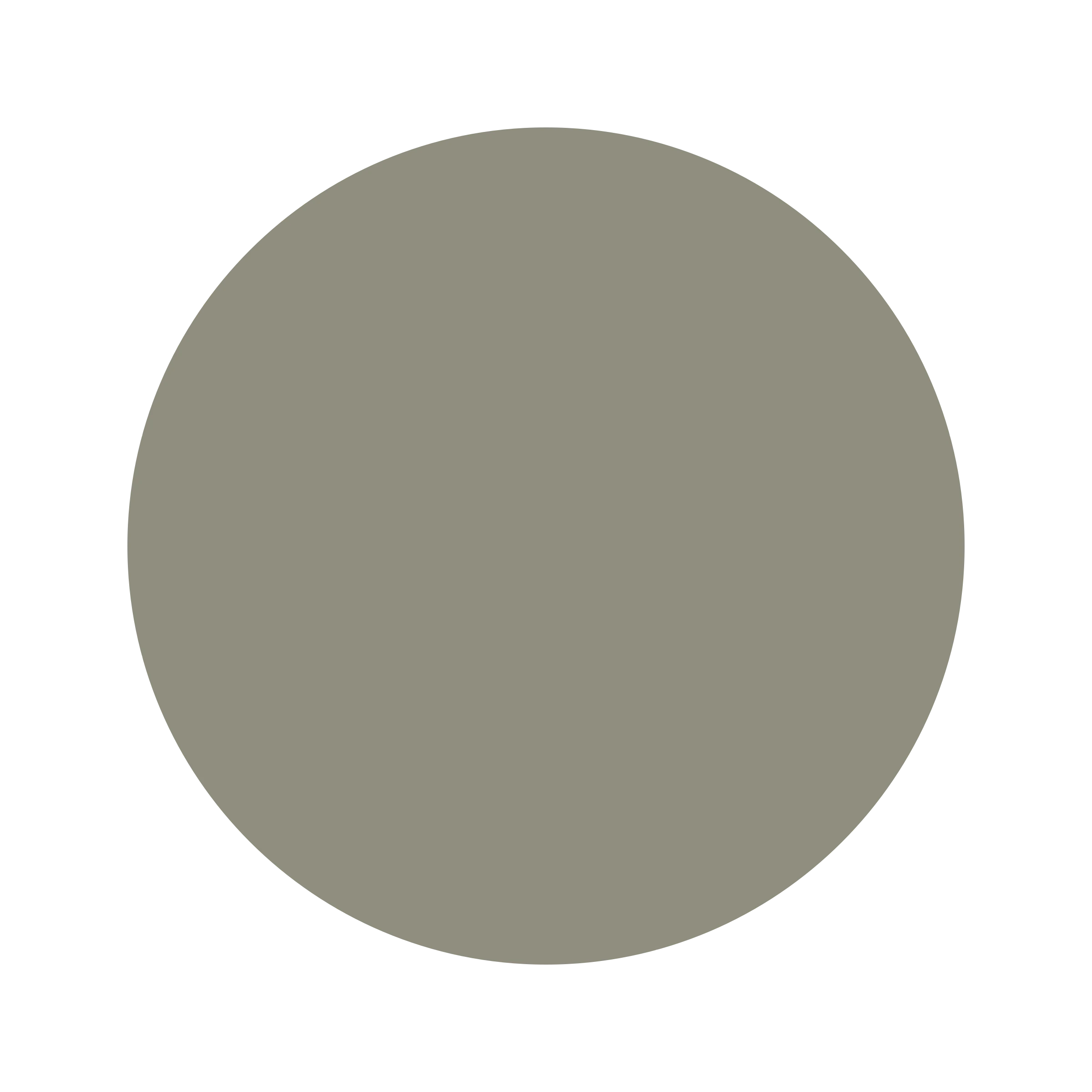 #8F8E7E