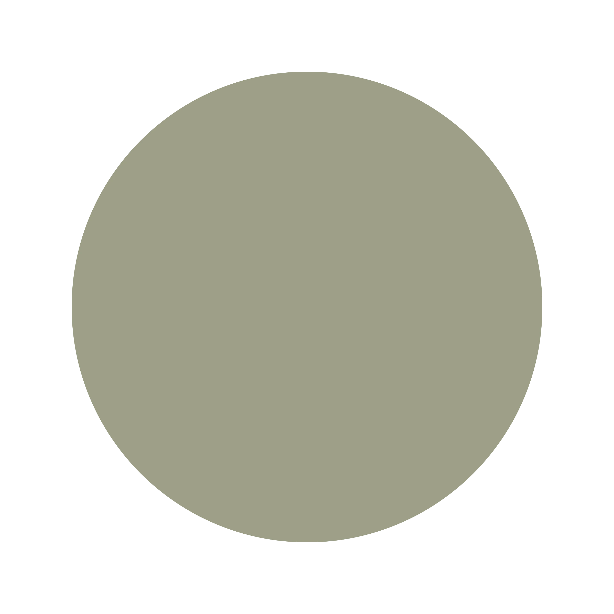 #9D9F88