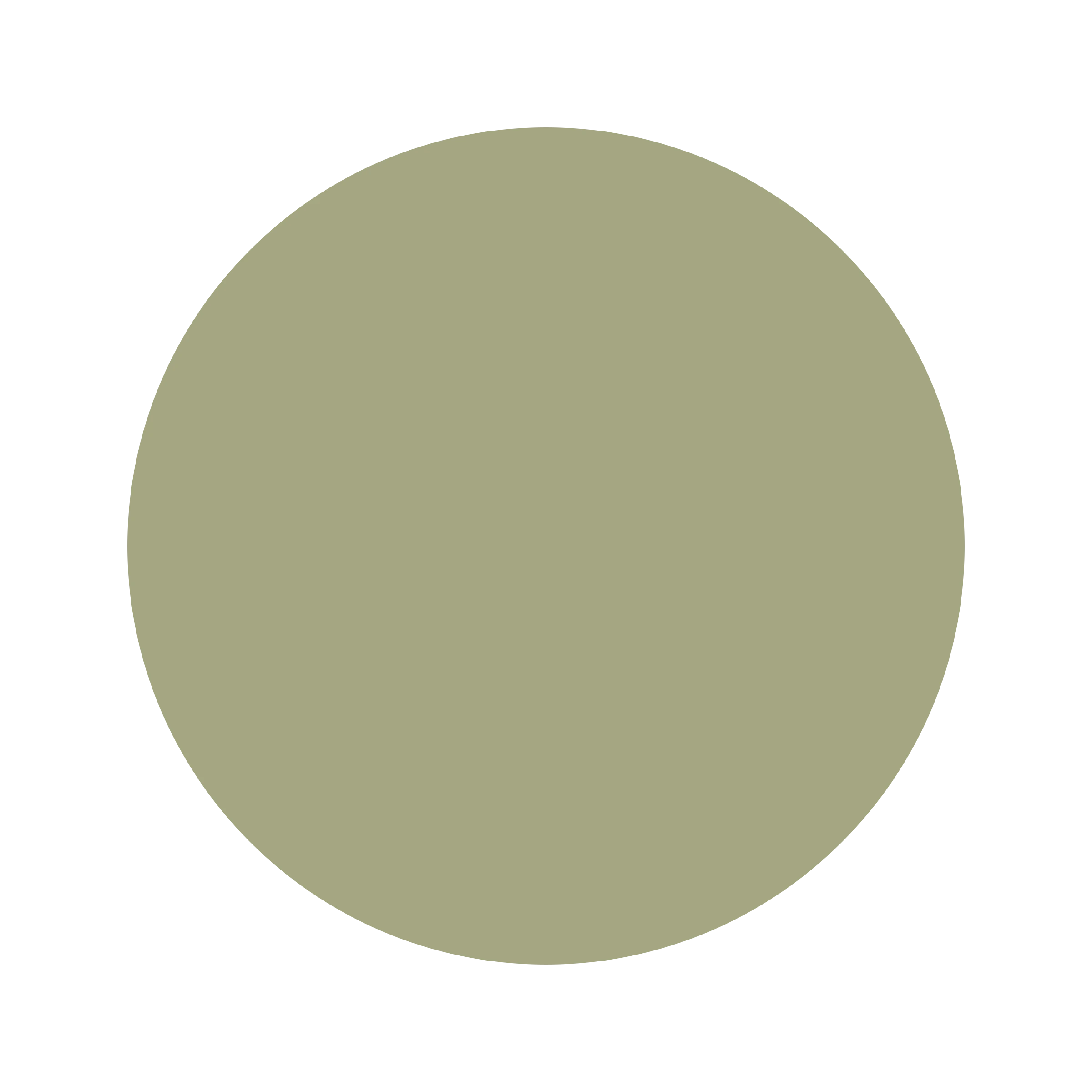 #A4A681