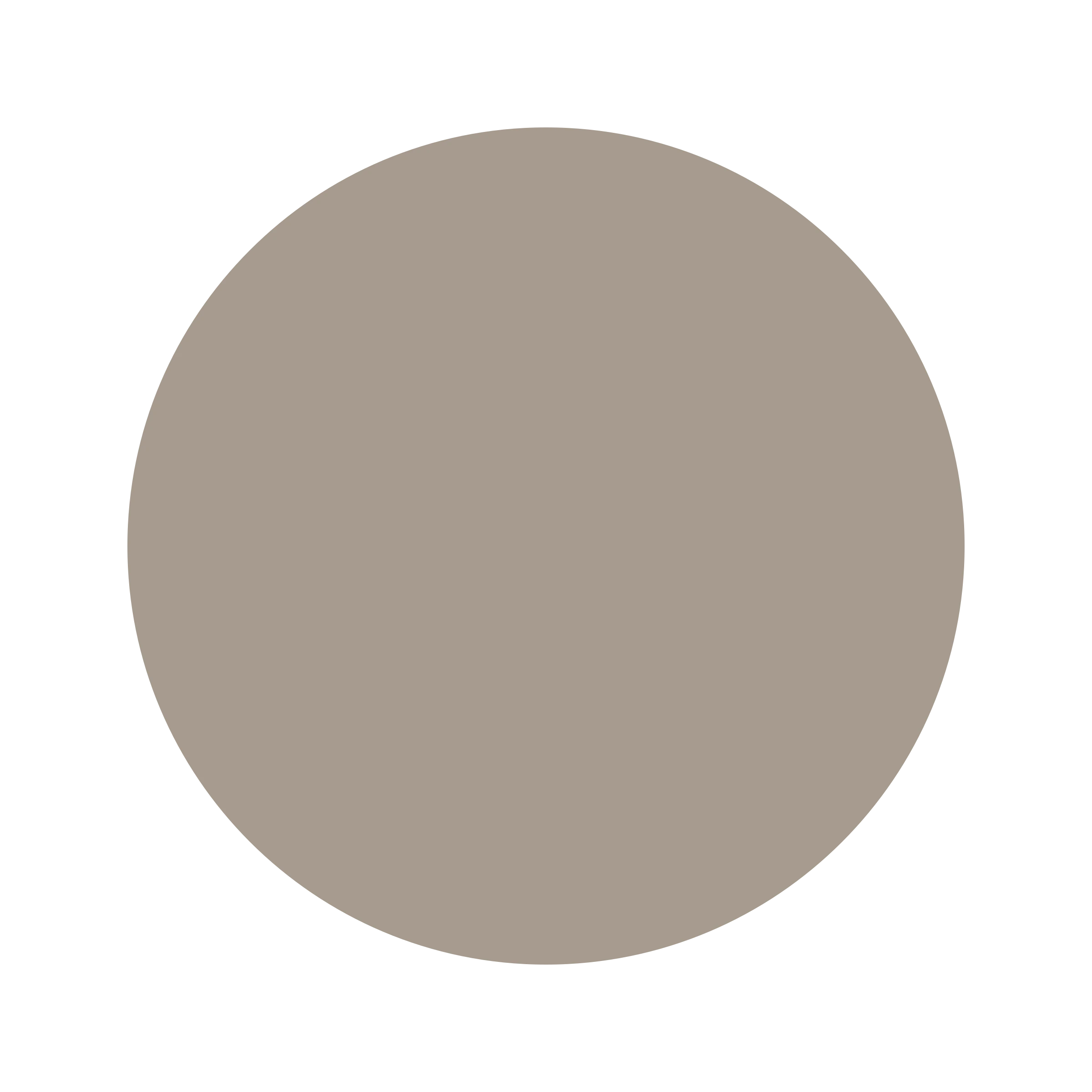 #A69B8E