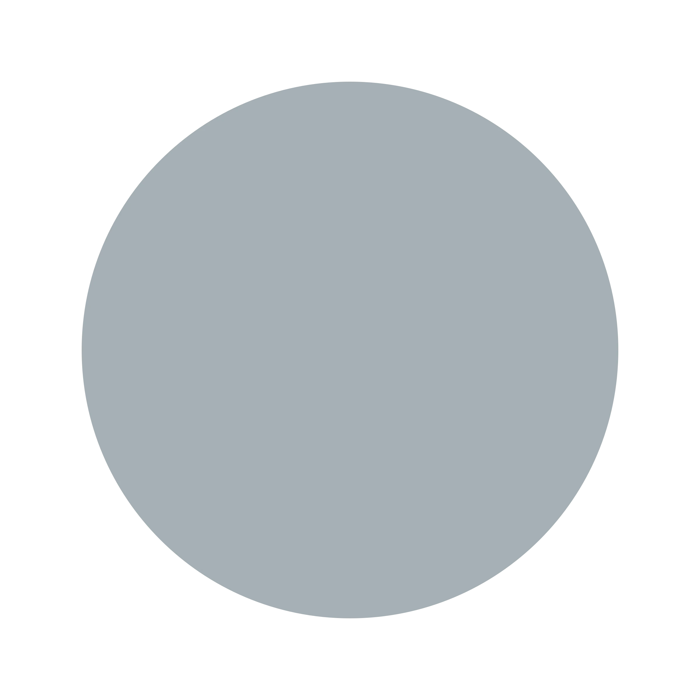 Ceresita Frosted Denim