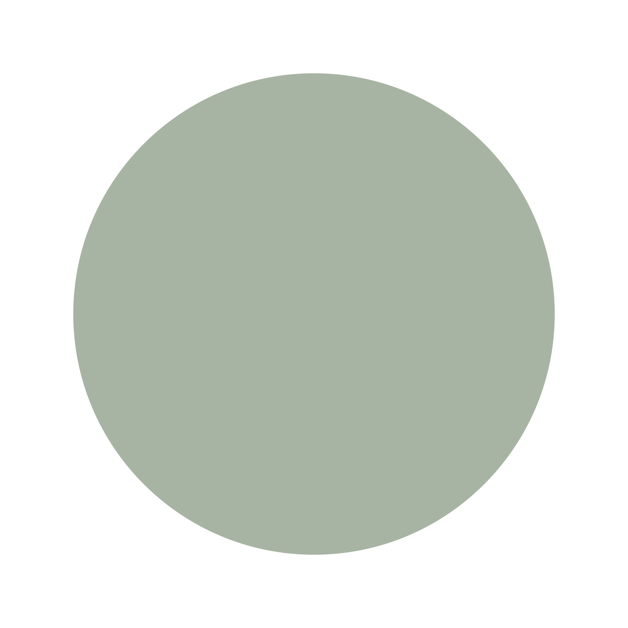 #A8B5A3