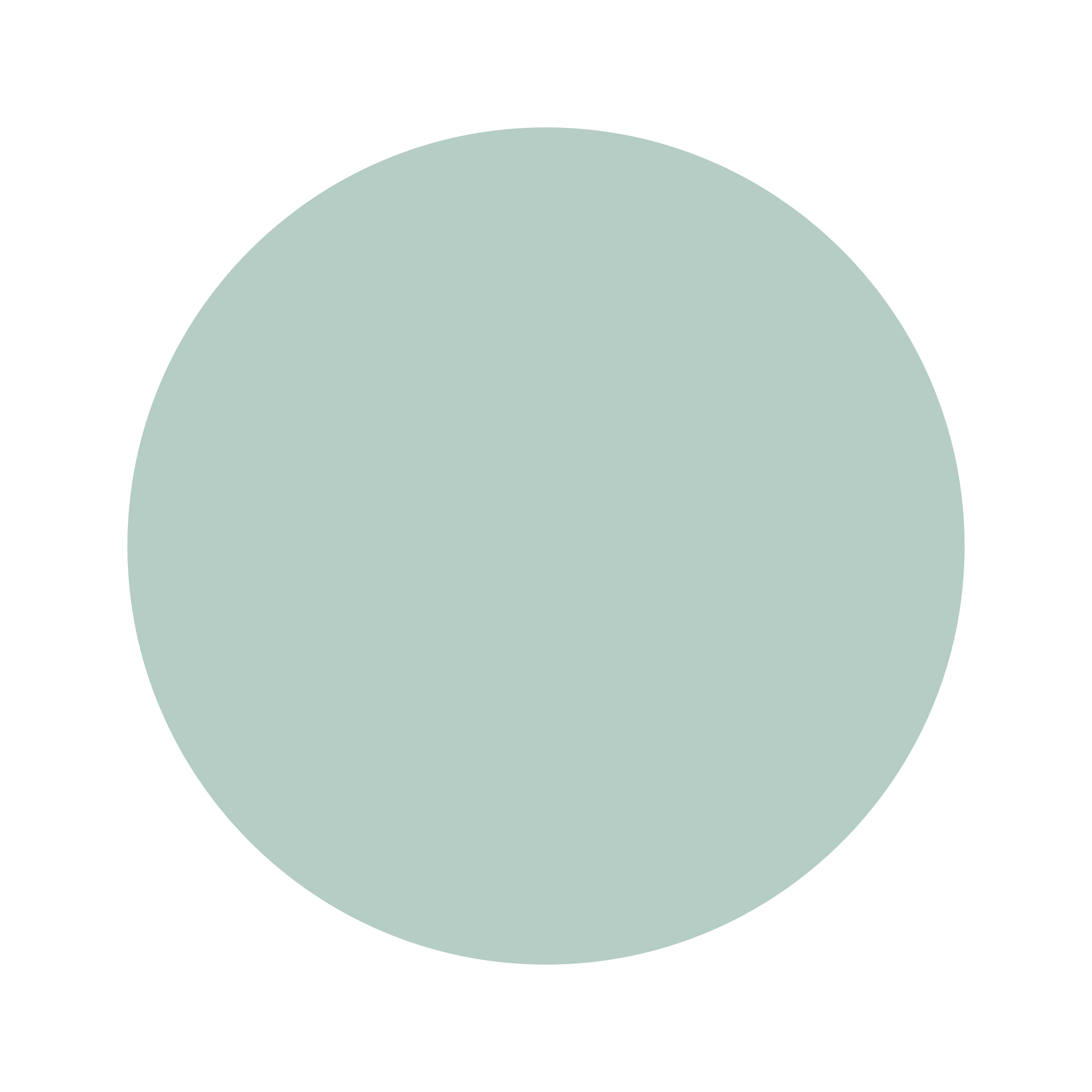 Ceresita Teal Suede