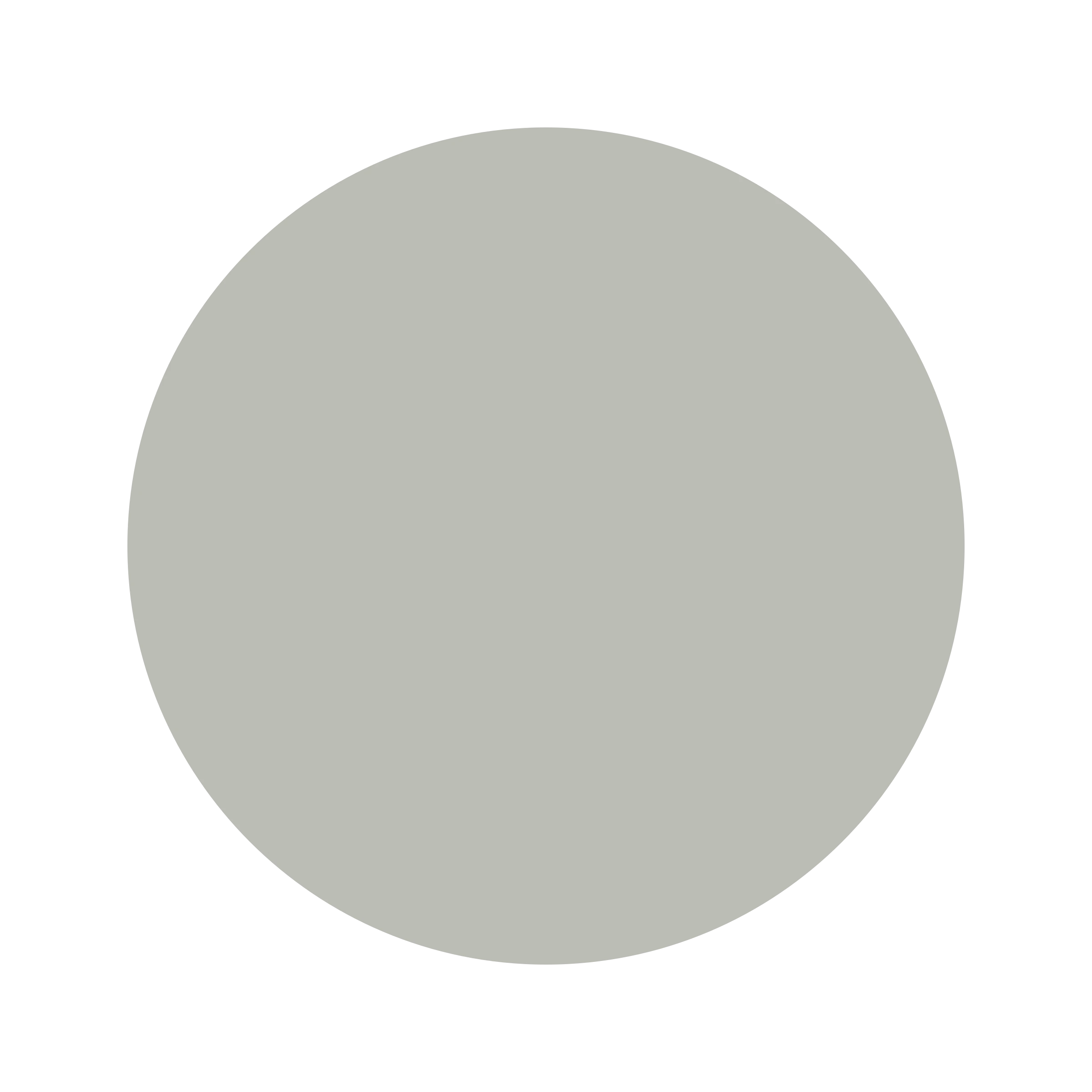 Ceresita Tram Gray