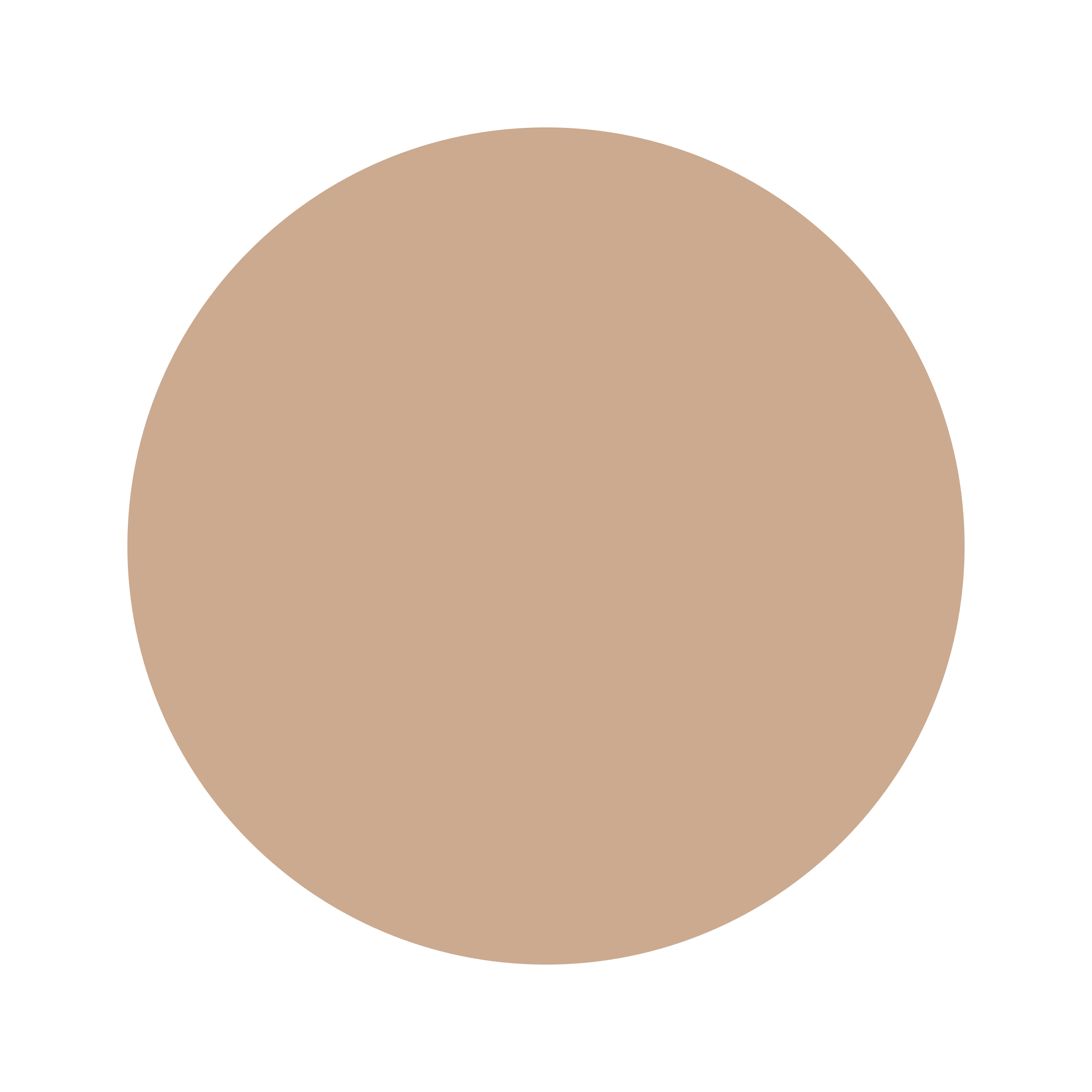 Ceresita Cinnamon Spice