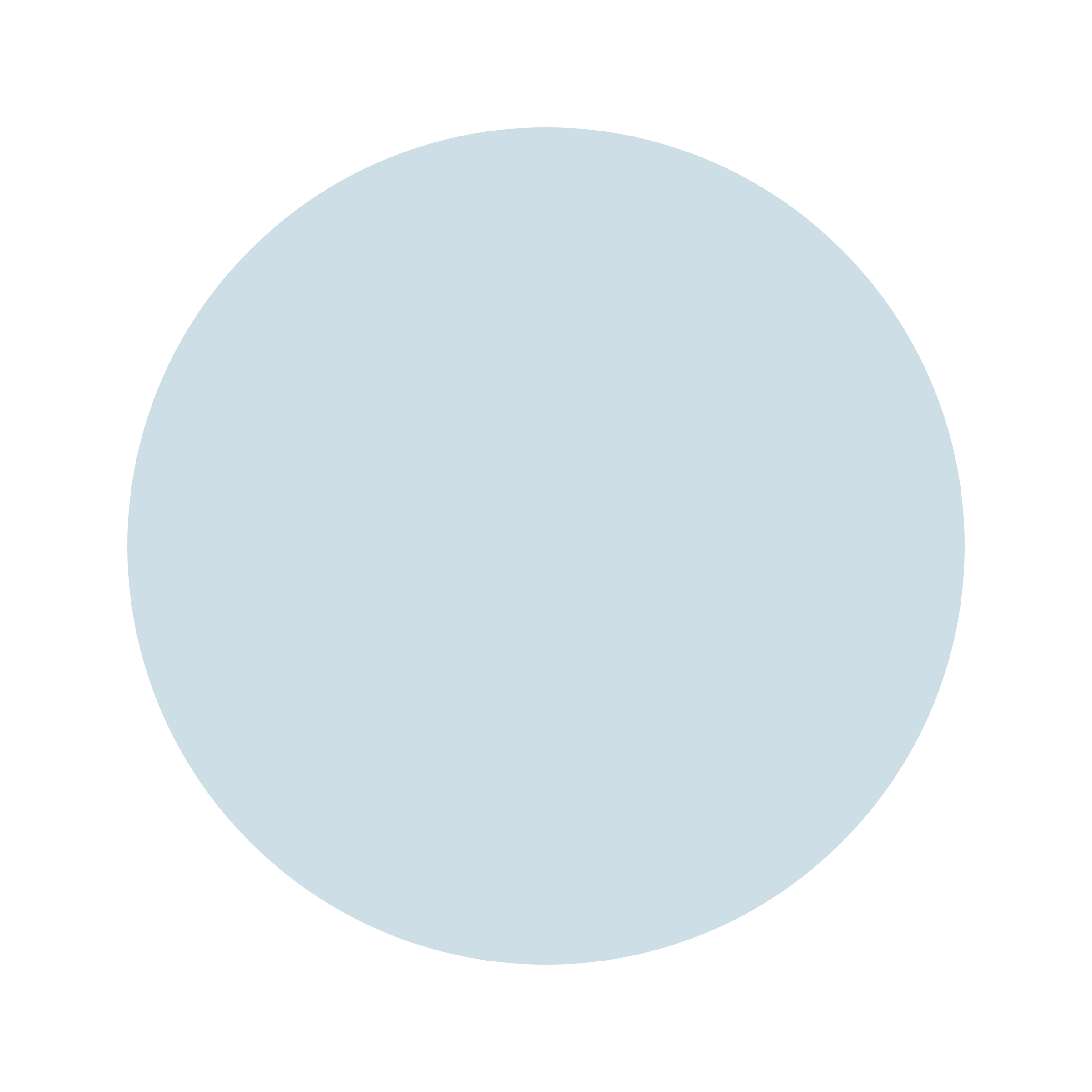 Ceresita Domicile Blue