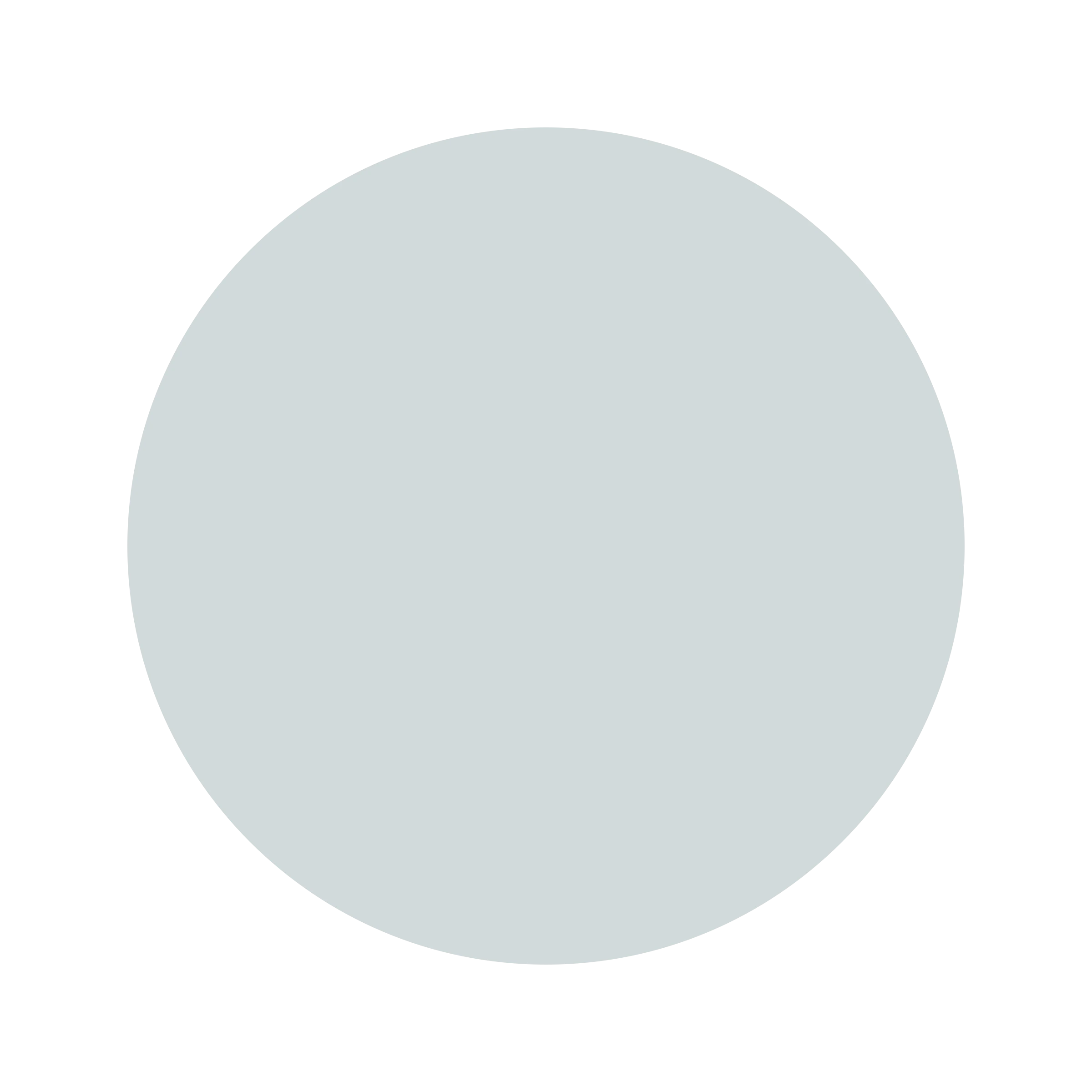 Ceresita Minimal Gray