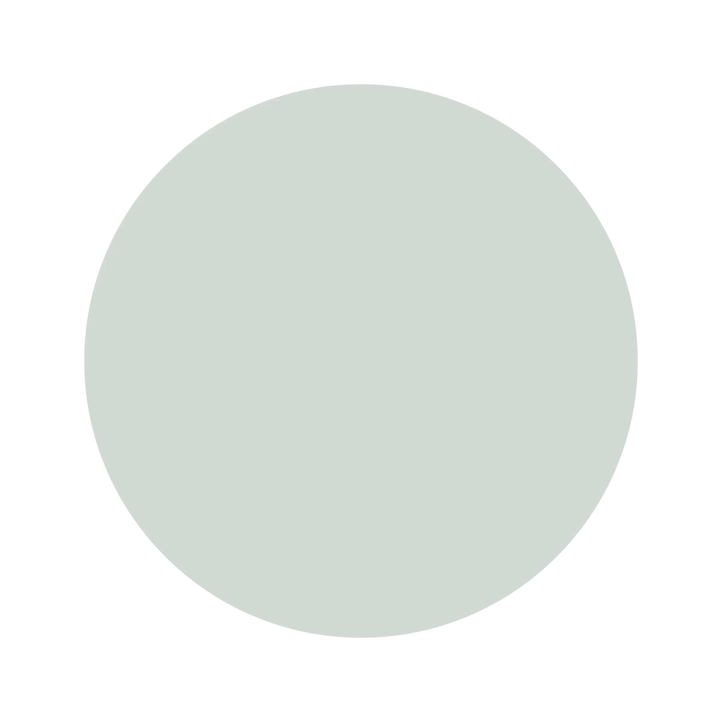 Ceresita Designer Gray