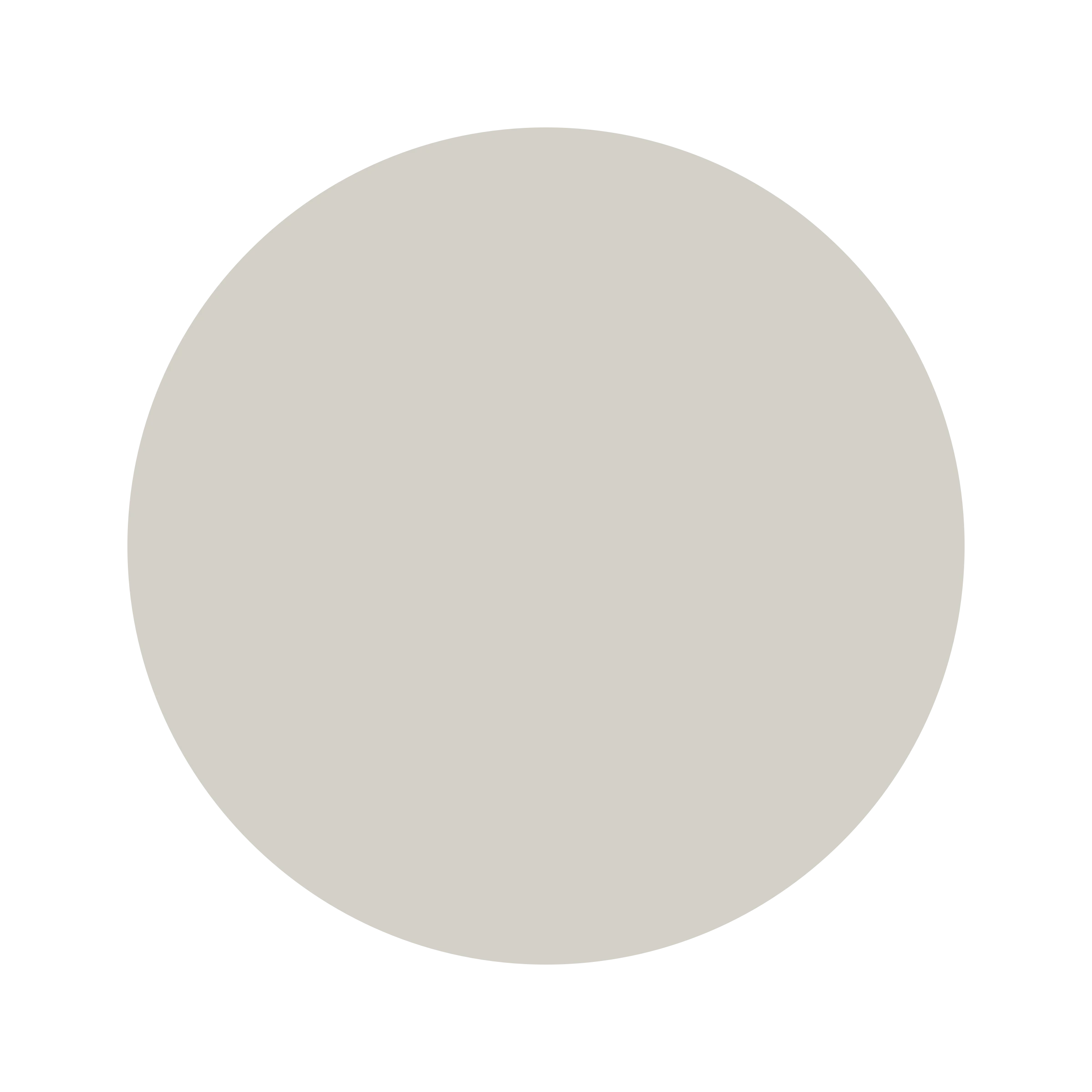 #D4D0C8