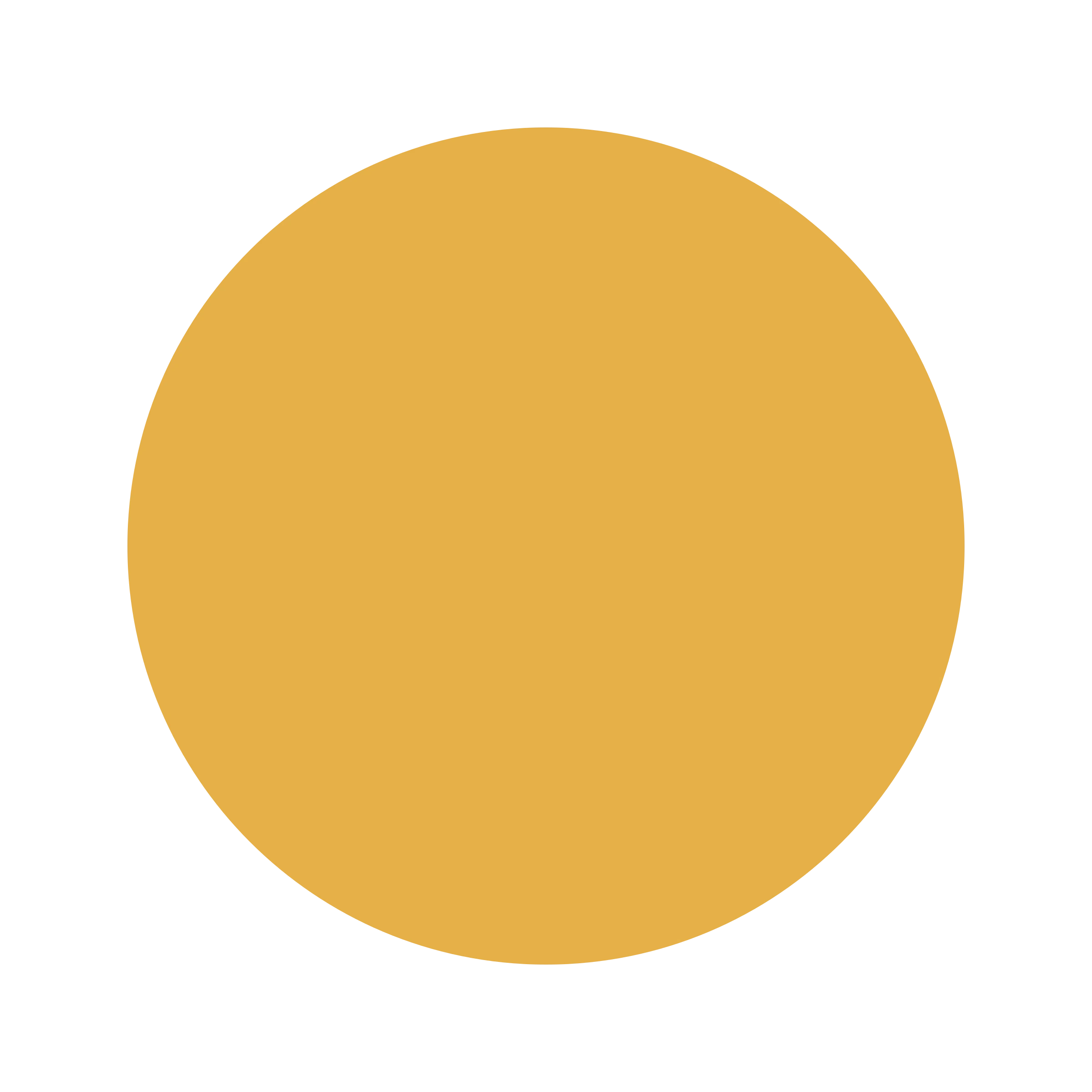 Ceresita Gold Rush
