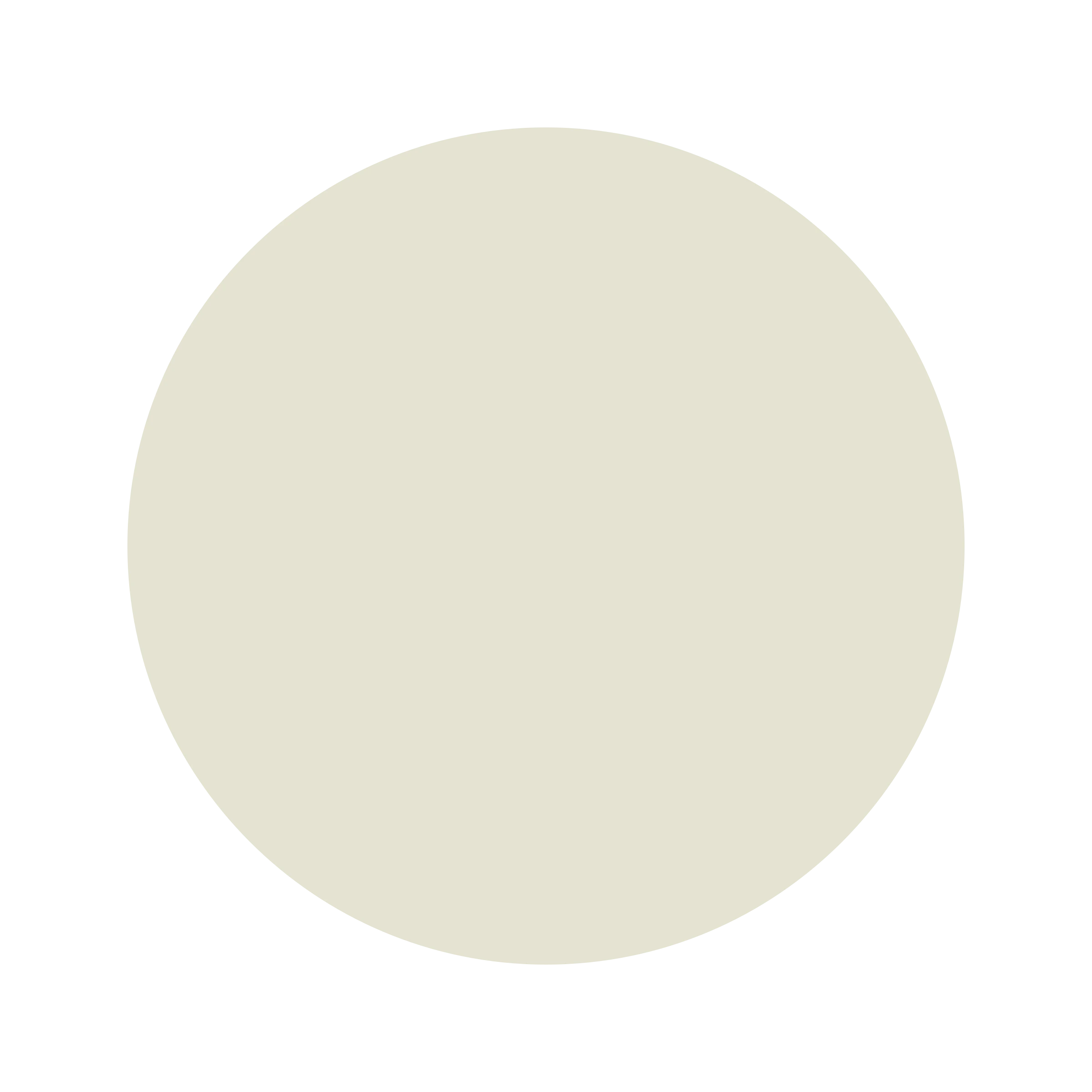Ceresita White Leek