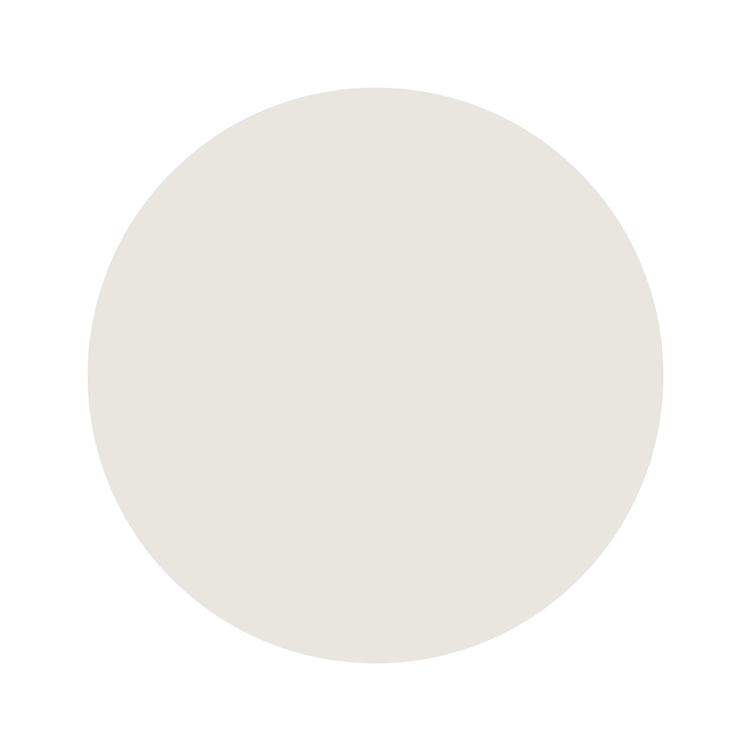 Ceresita Respectfully White