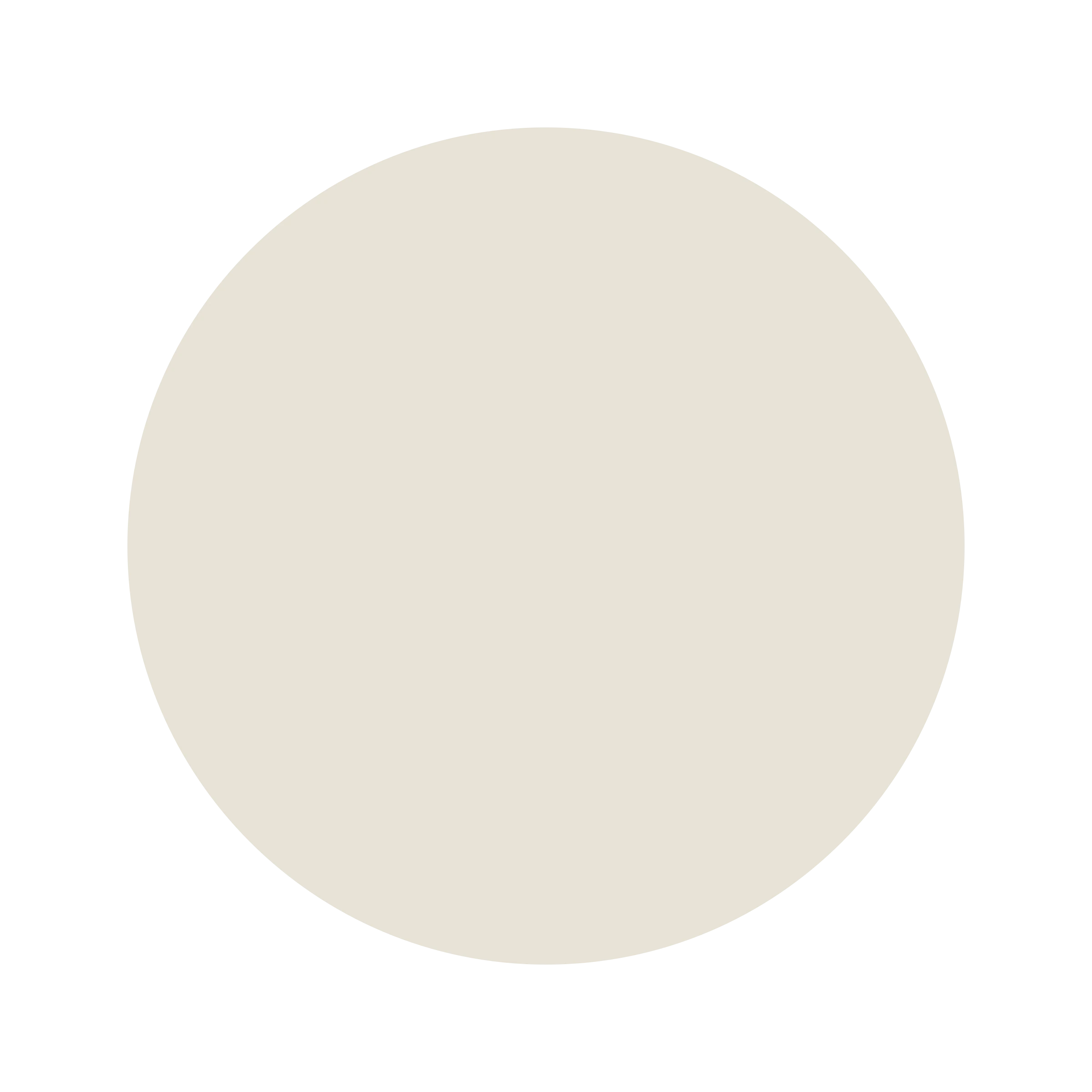 Ceresita Natural Bisque