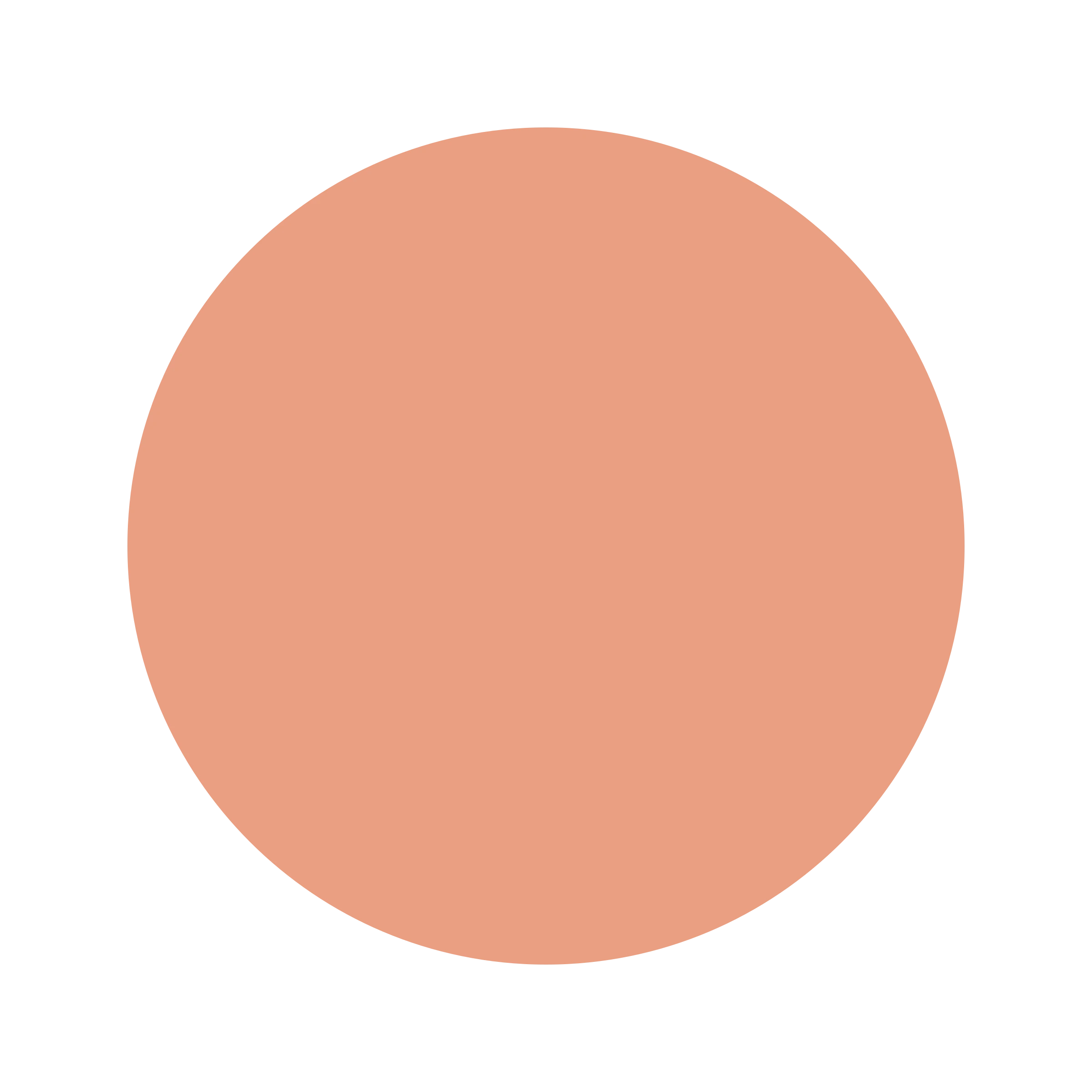 #EB9F83