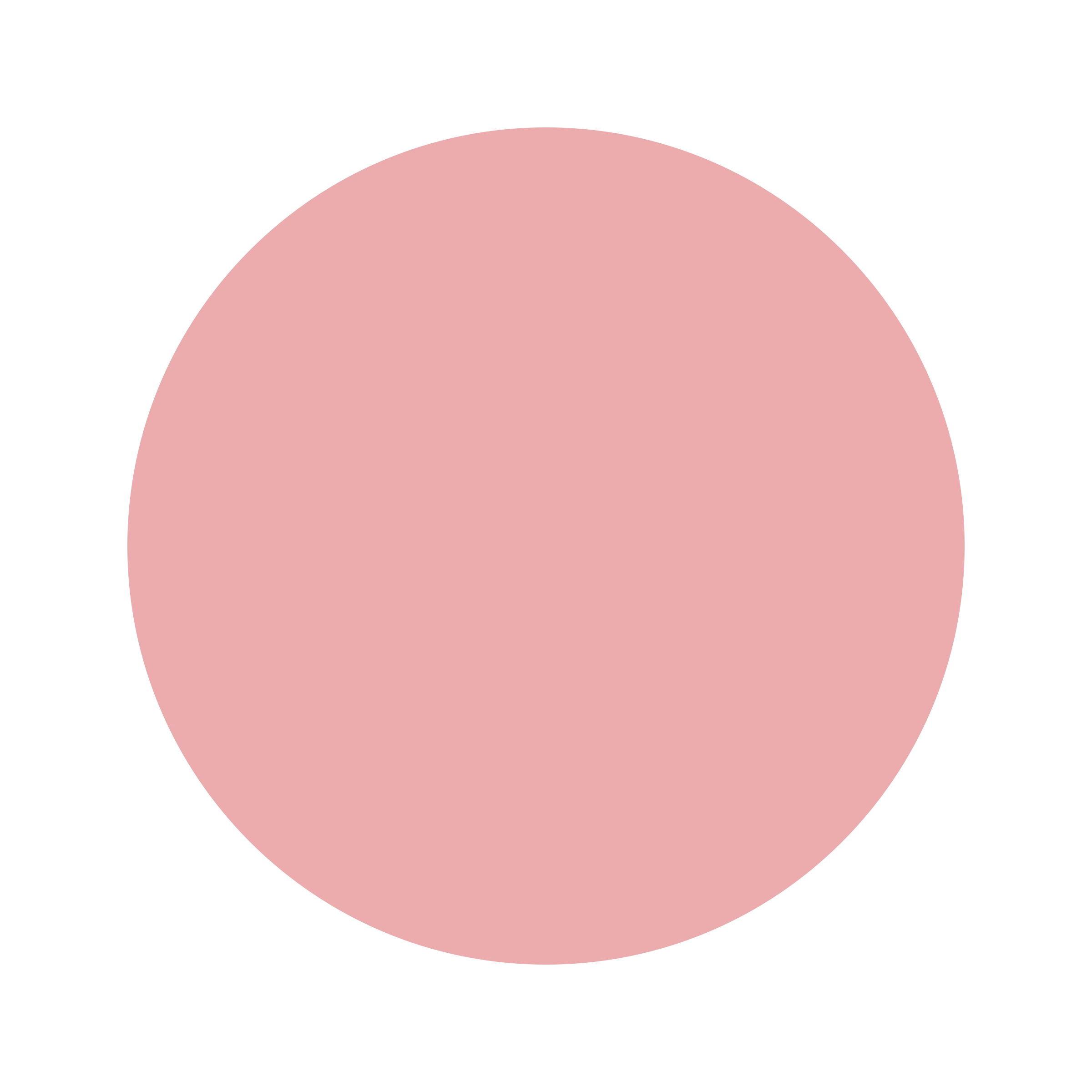 Ceresita Cashmere Rose