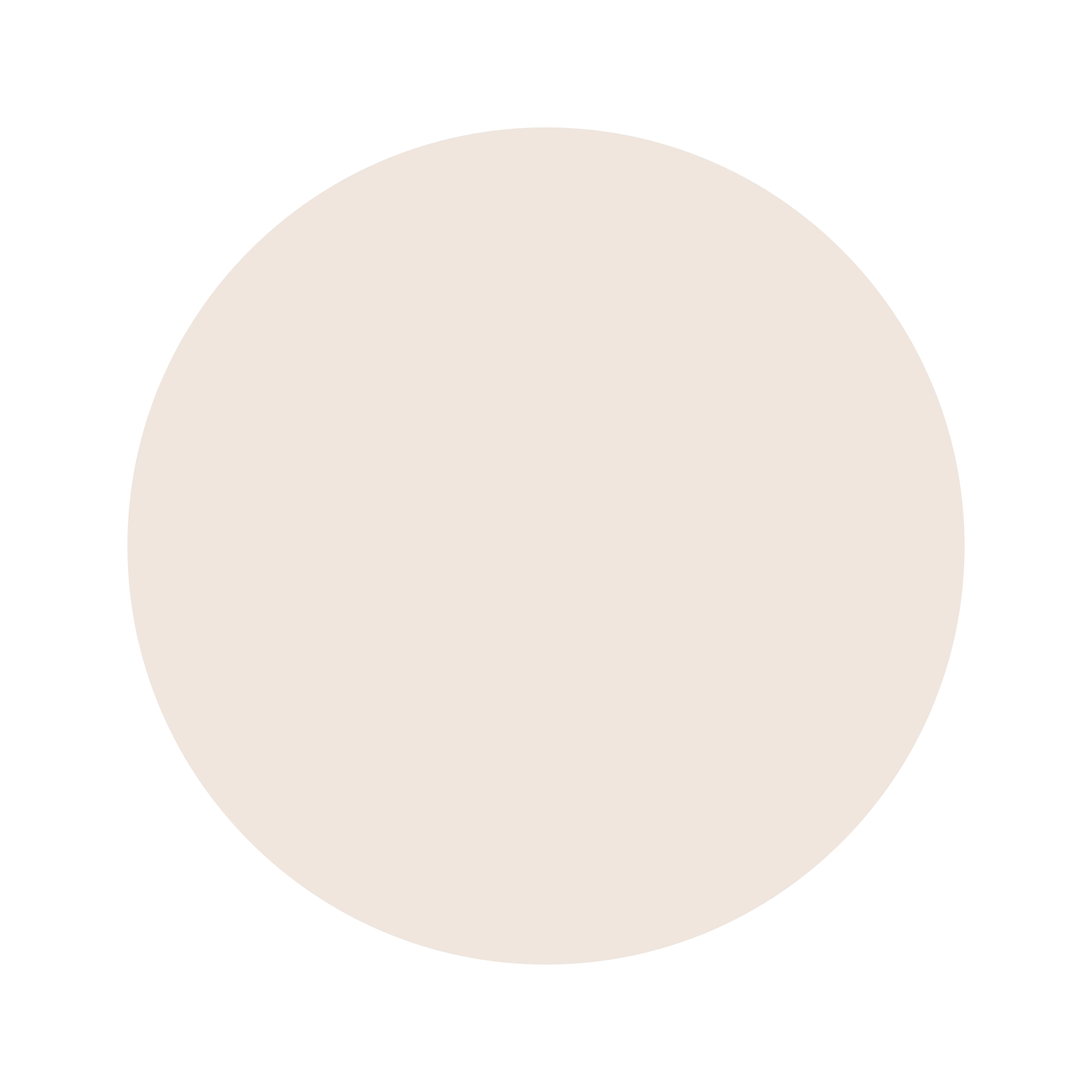 Ceresita Pongee Tint
