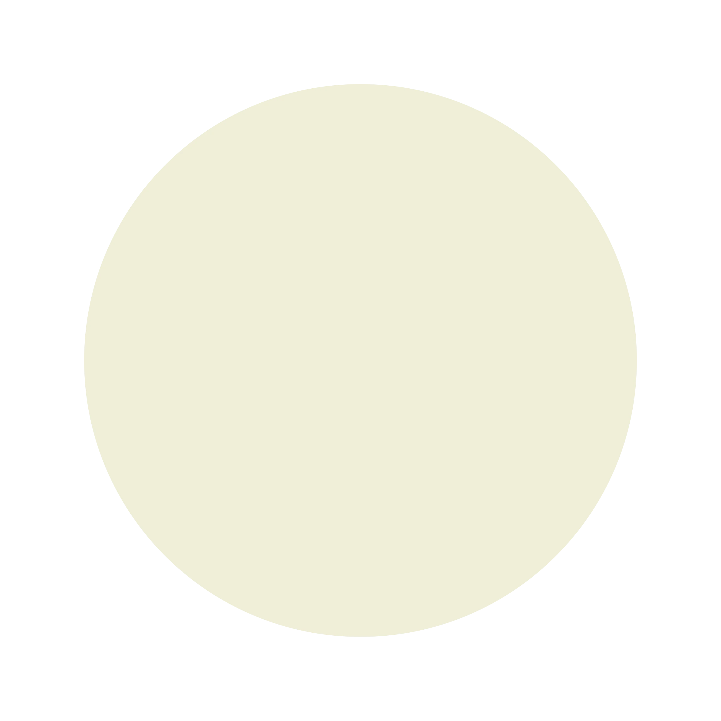 Ceresita Minced Onion