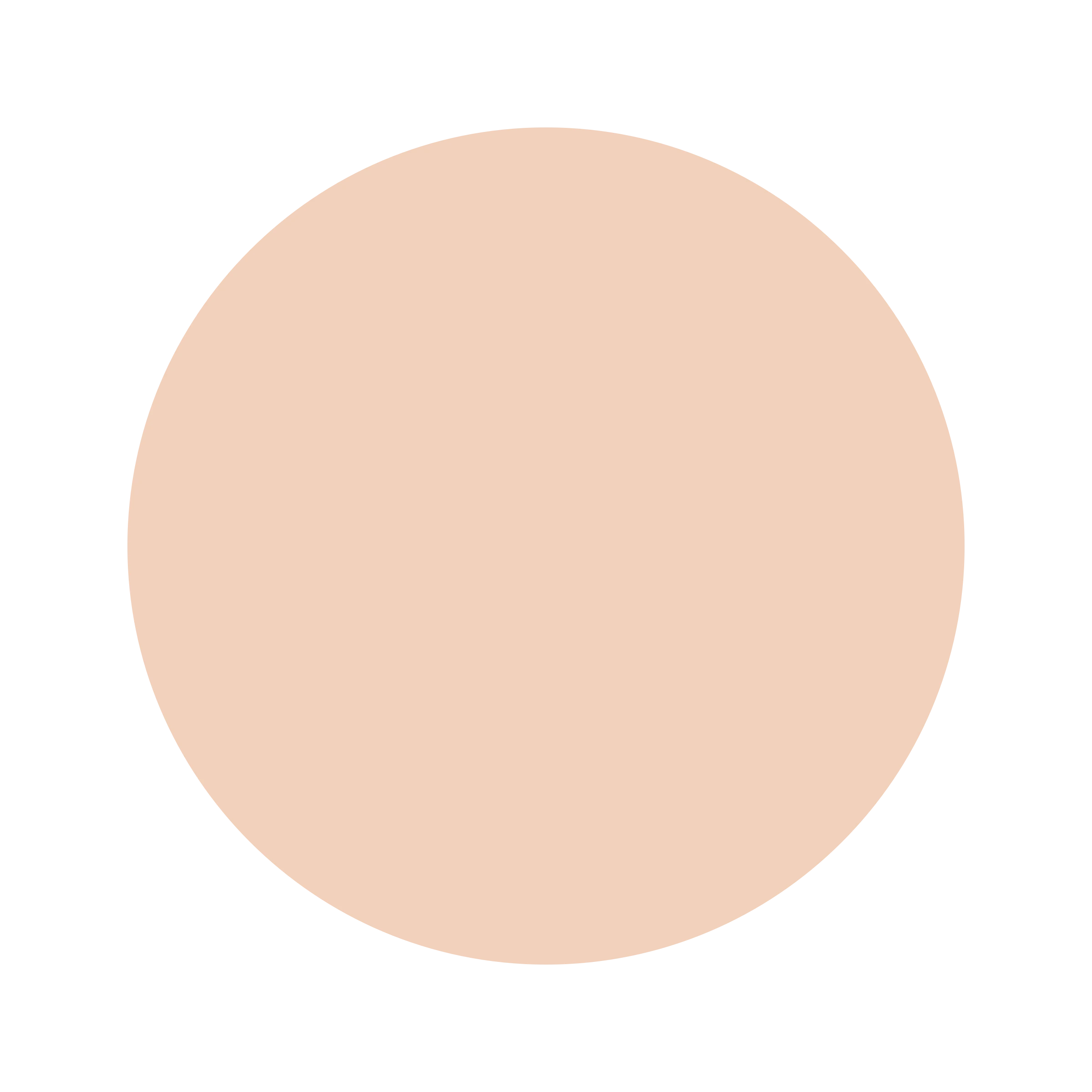 Ceresita Confection Tan