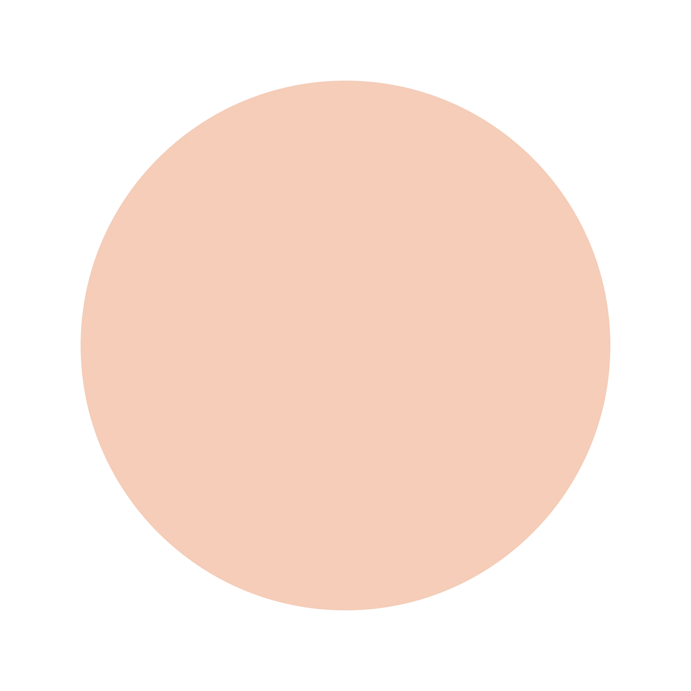 #F5CCB9