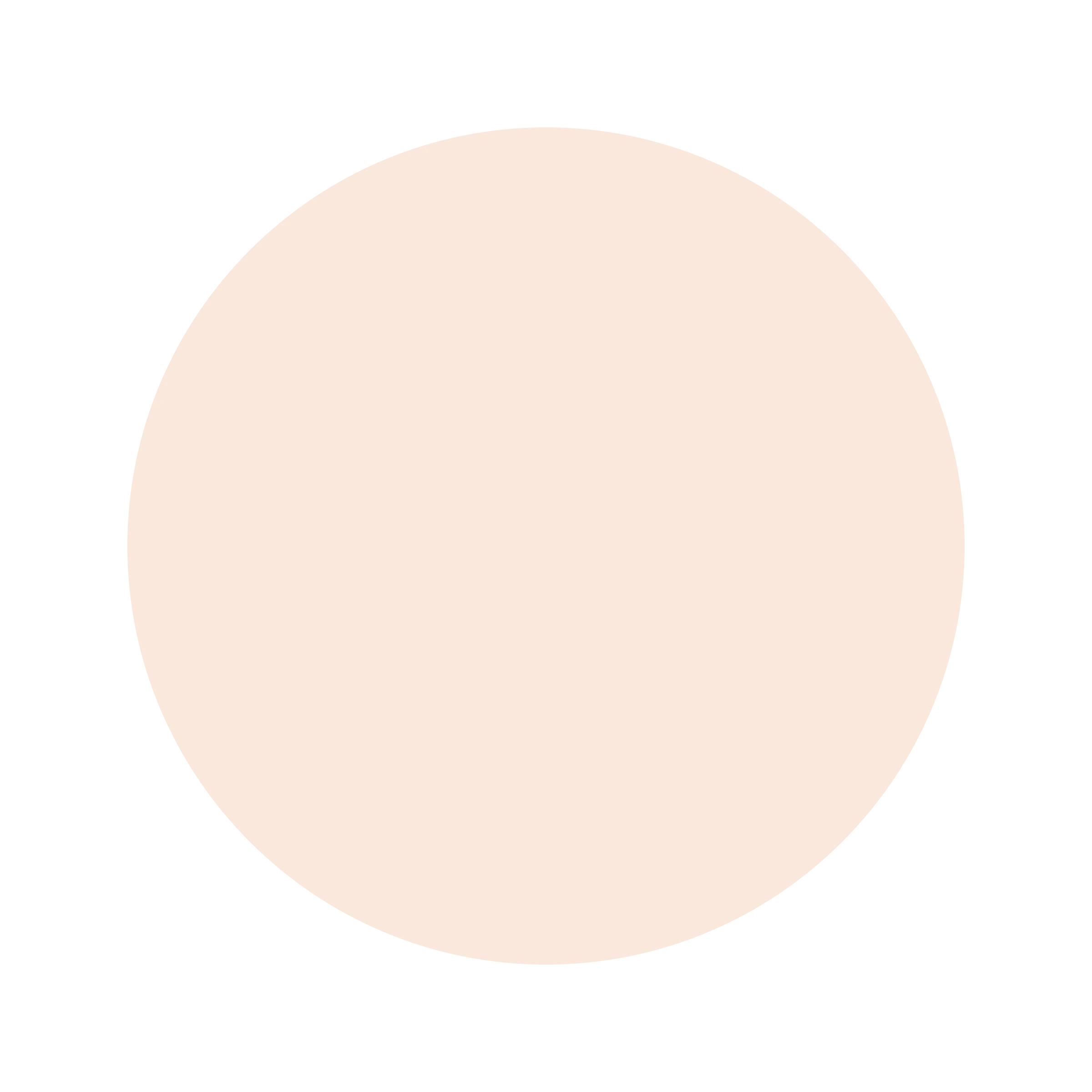 #FAE8DB