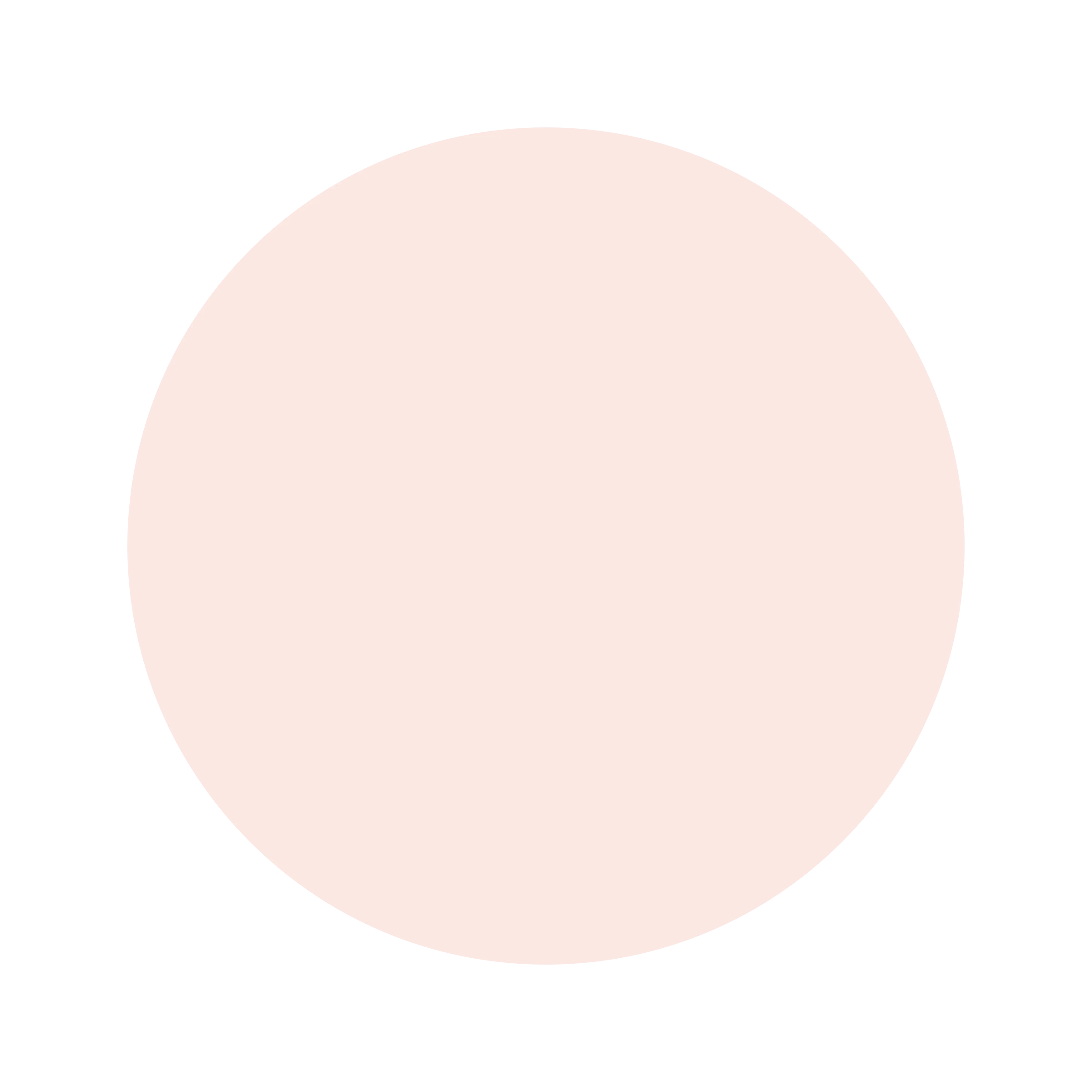Ceresita Ceramic Pink