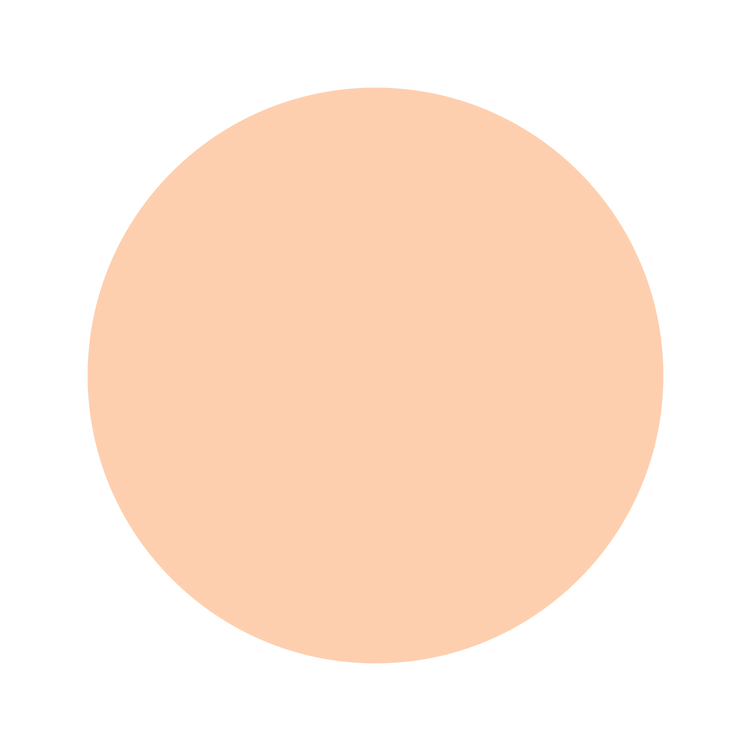 Ceresita Apricot Nectar